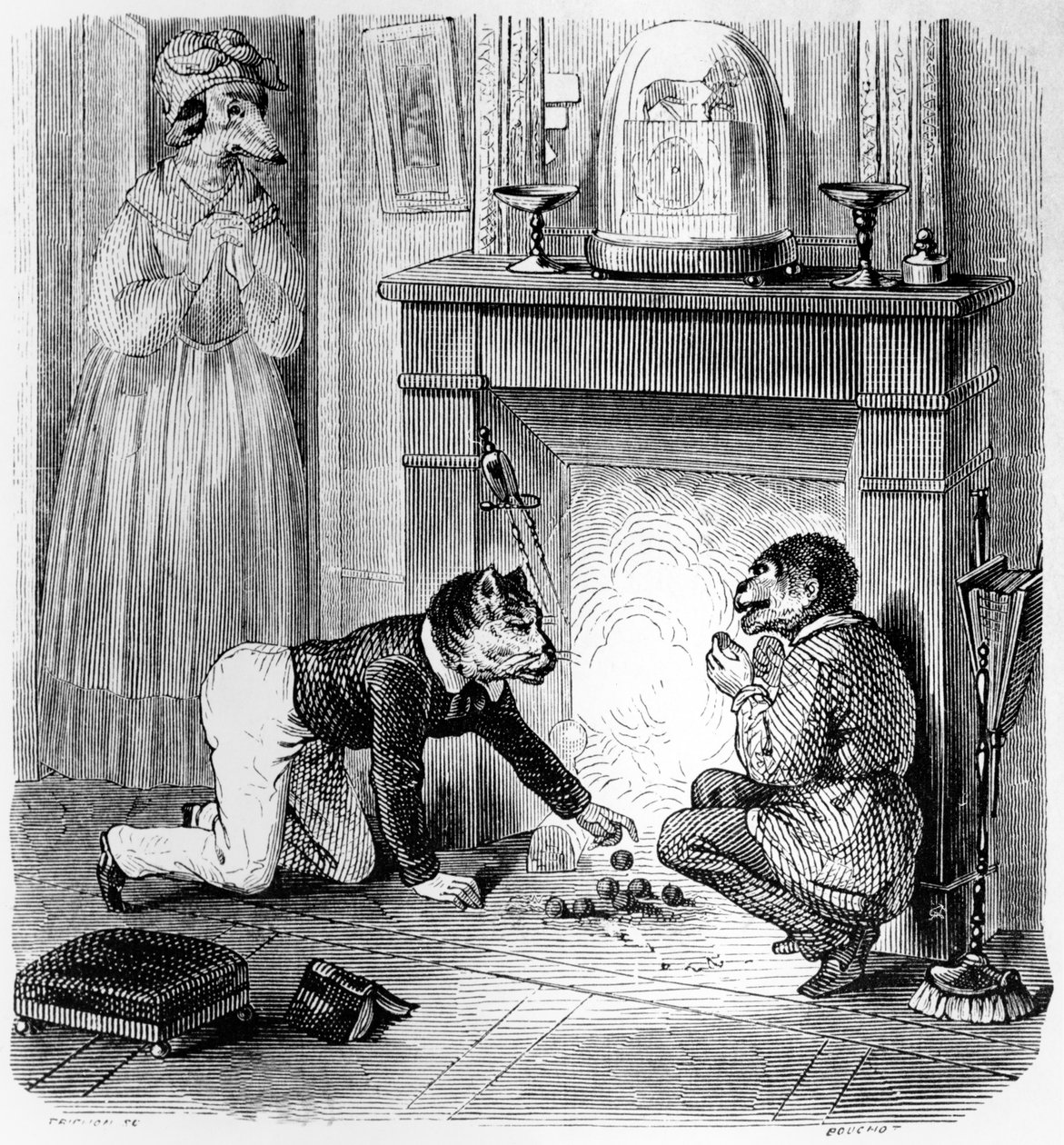 Der Affe und die Katze, Illustration für 