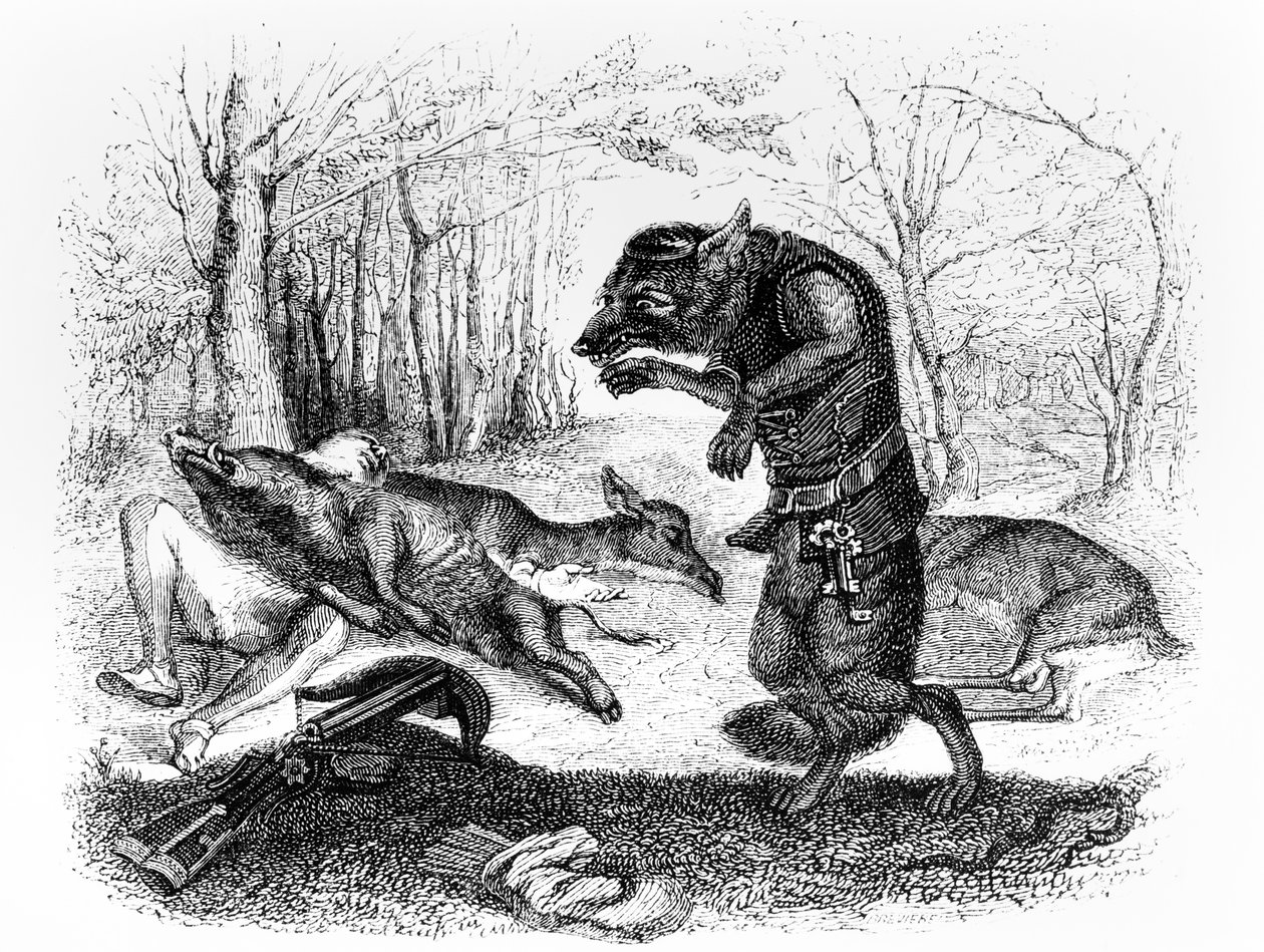 Der Wolf und der Jäger, Illustration für 