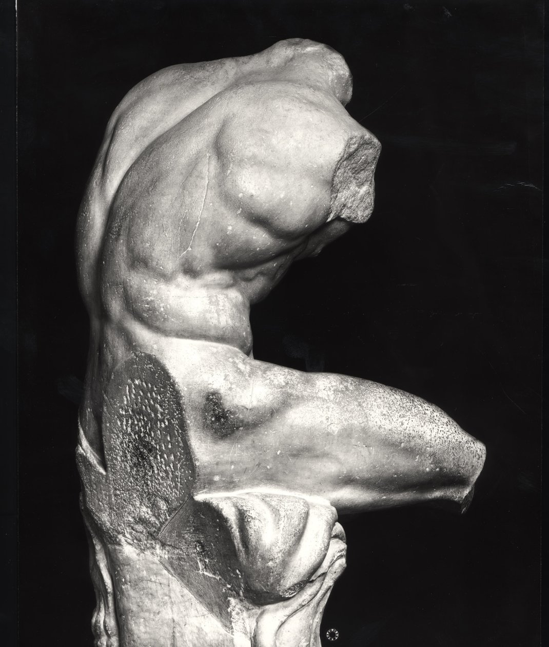 Belvedere-Torso von Greco Roman Greco Roman