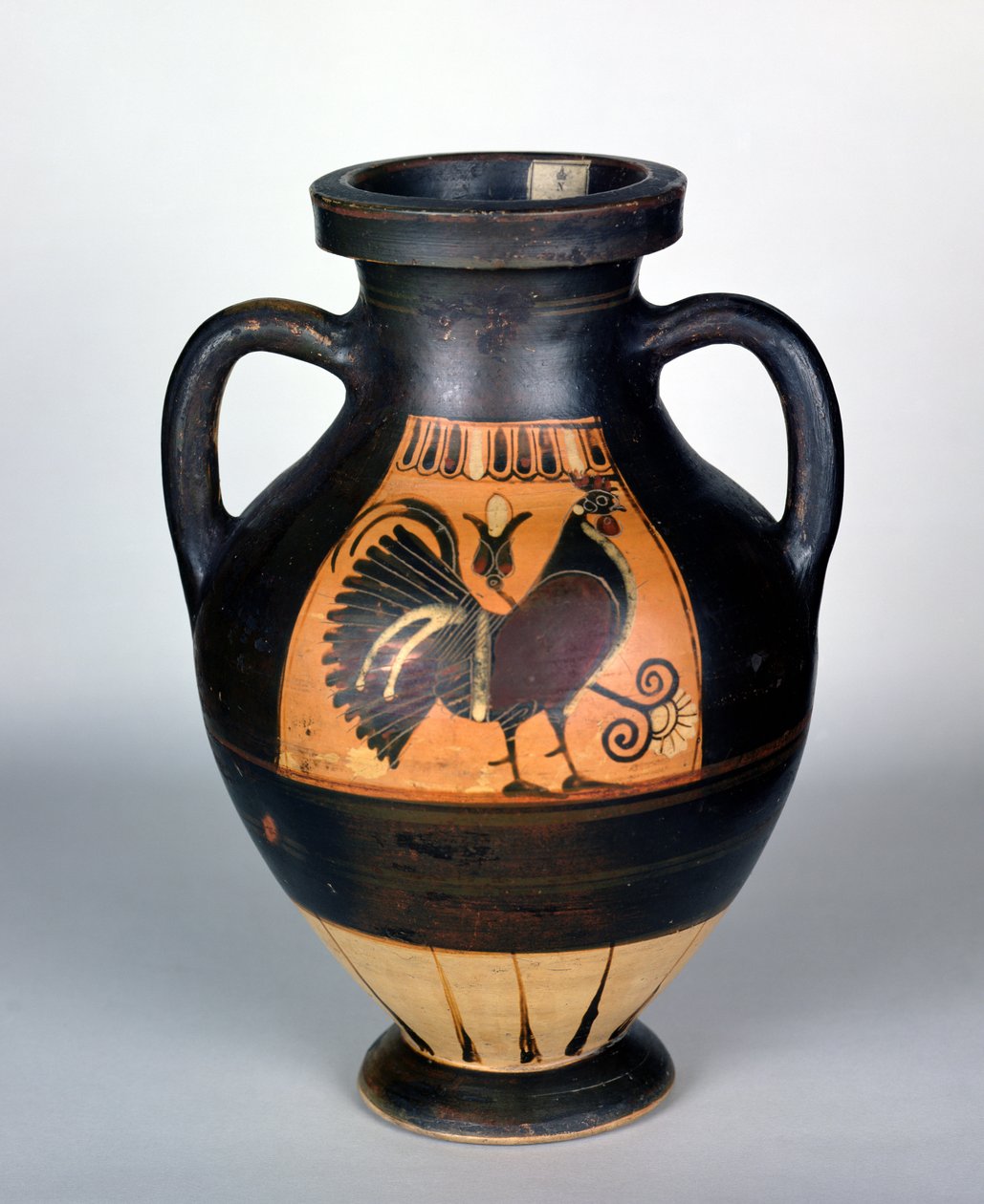 Amphore mit Darstellung eines Hahns, korinthischer Stil von Greek