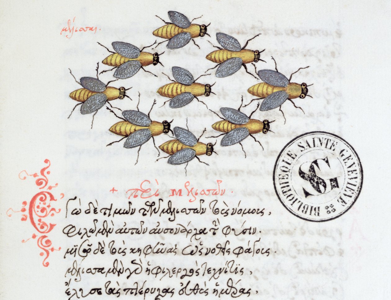 Ms 3402 Bienen, aus einem Bestiarium von Manuel Philes, 1566 von Greek School