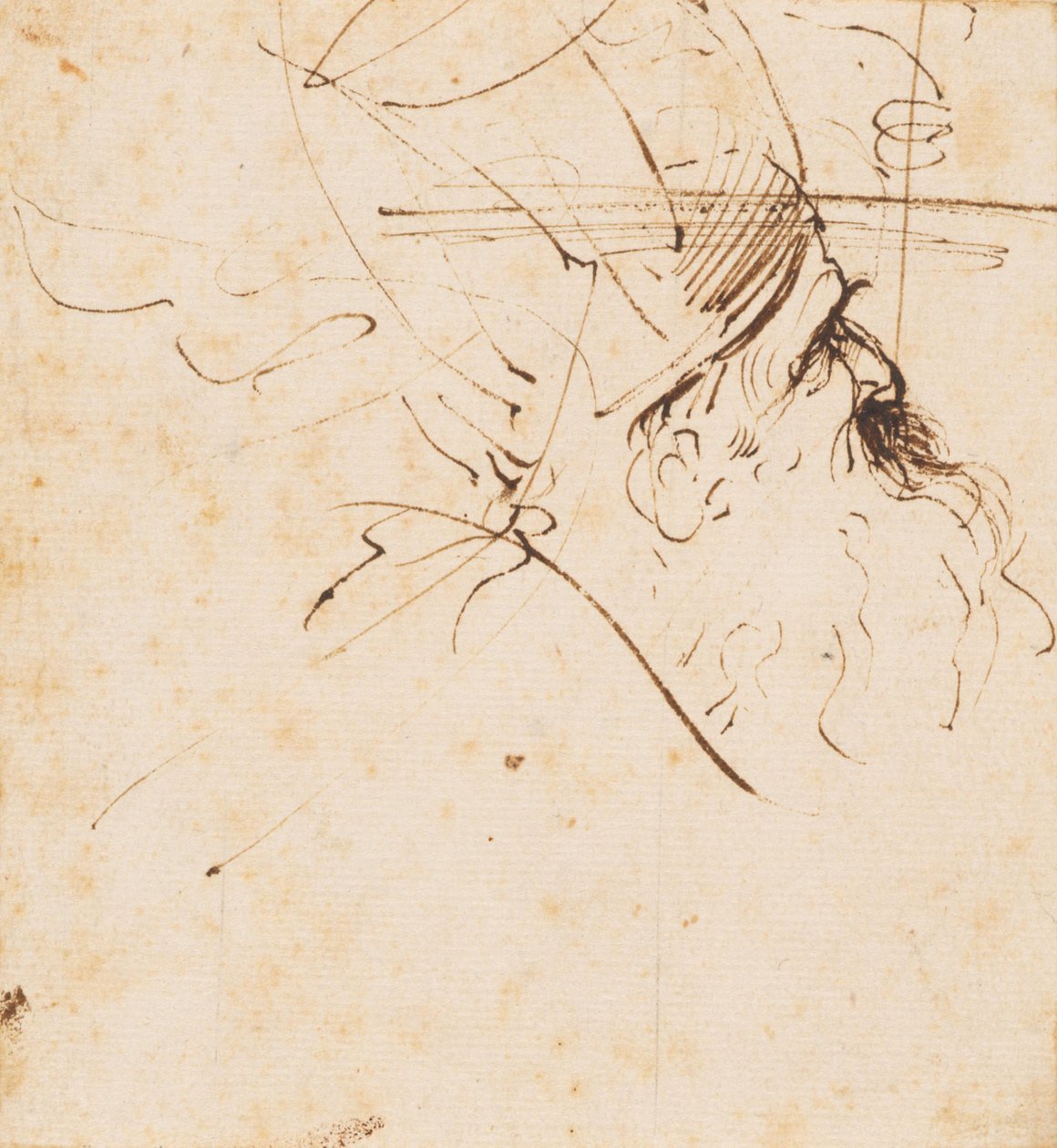Skizze eines Kopfes eines Geistlichen mit Mitra, nach rechts oben blickend von Guercino