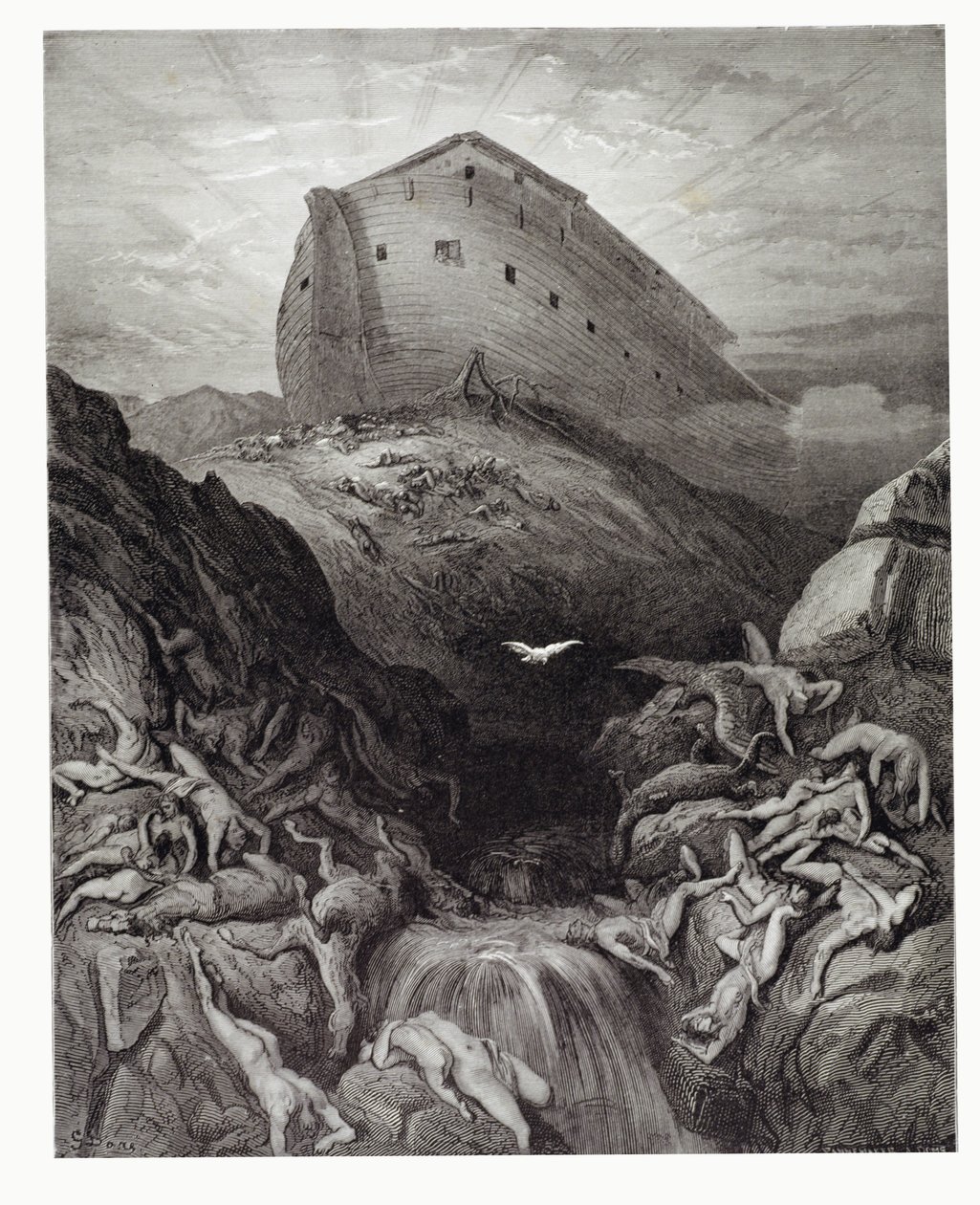 Die Taube, die aus der Arche gesandt wurde, graviert von Stephane Pannemaker, um 1868 von Gustave Dore