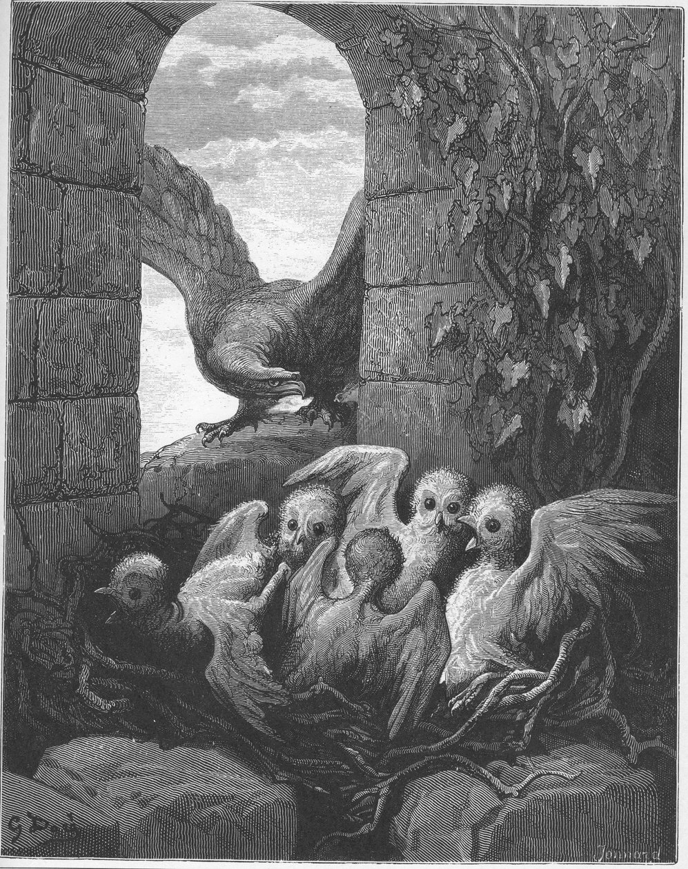 Der Adler und die Eule - aus 