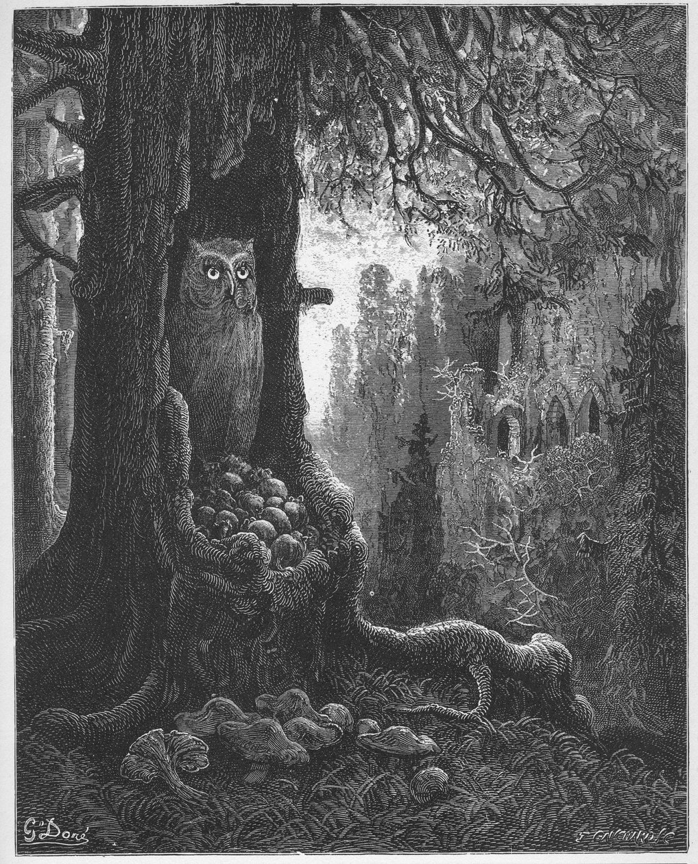 Les souris et le chat-huant - Die Mäuse und die Eule - aus 