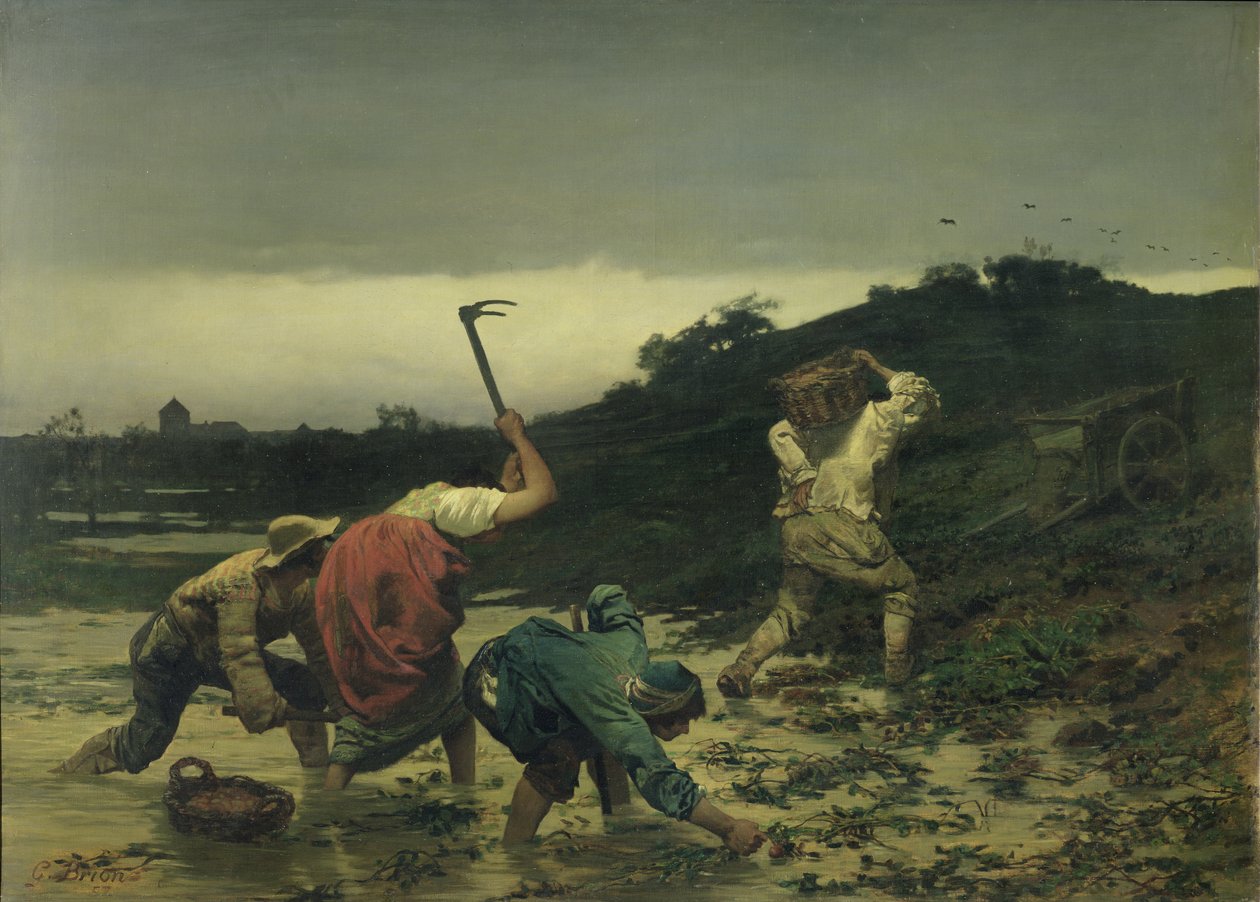 Bauern ernten Kartoffeln während der Überschwemmung des Rheins im Jahr 1852 von Gustave Brion