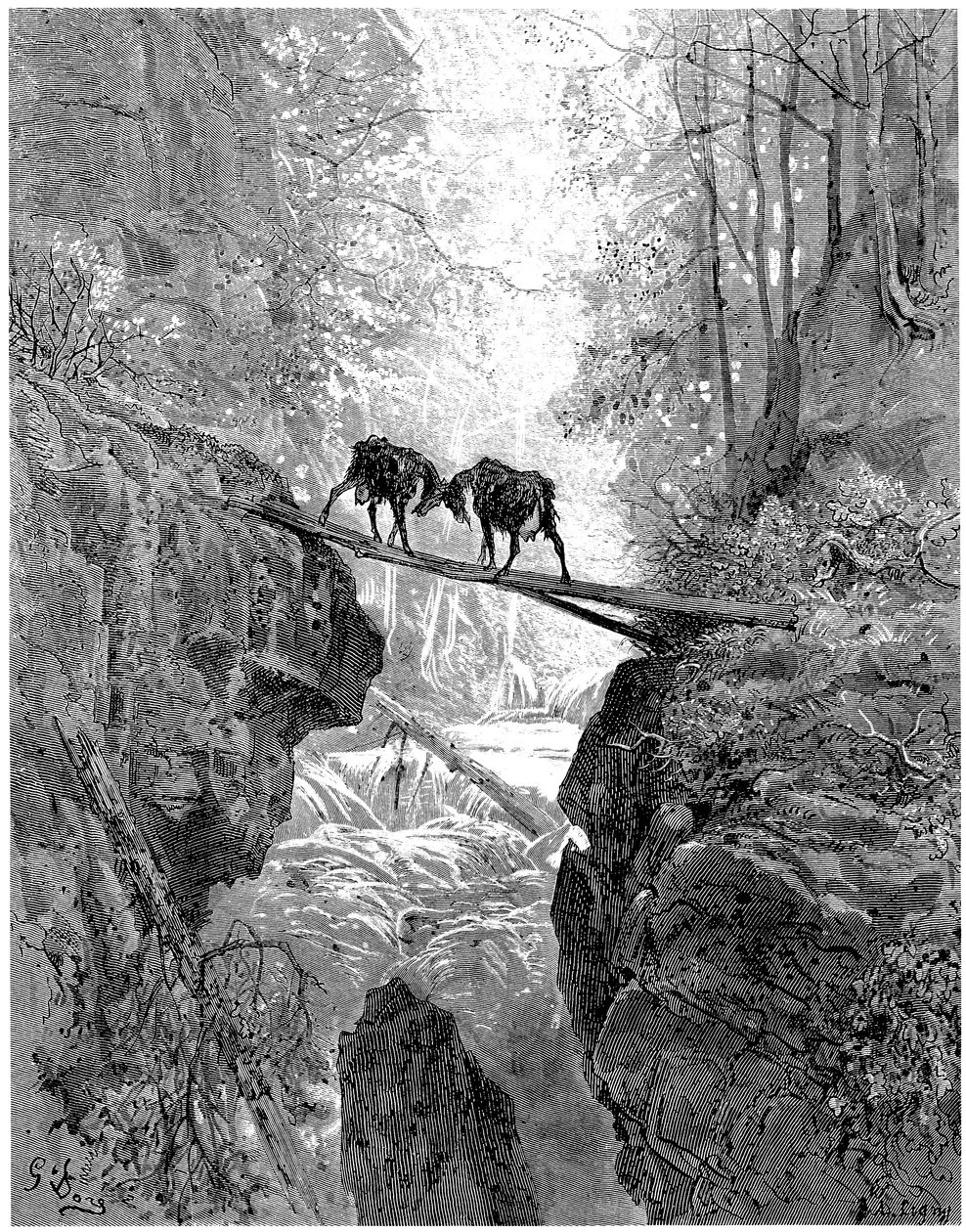 Die zwei Ziegen: Fabel von Jean de la Fontaine, illustriert von Gustave Doré - Wald, Bach, Bach von Gustave Dore
