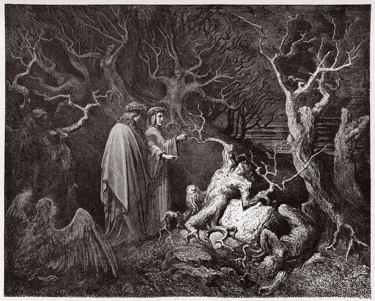 Die Göttliche Komödie (La Divina Commedia), Inferno, Gesang 13: Die Selbstmörder im Wald - von Dante Alighieri (1265-1321) - Illustration von Gustave Doré (1832-1883) von Gustave Dore