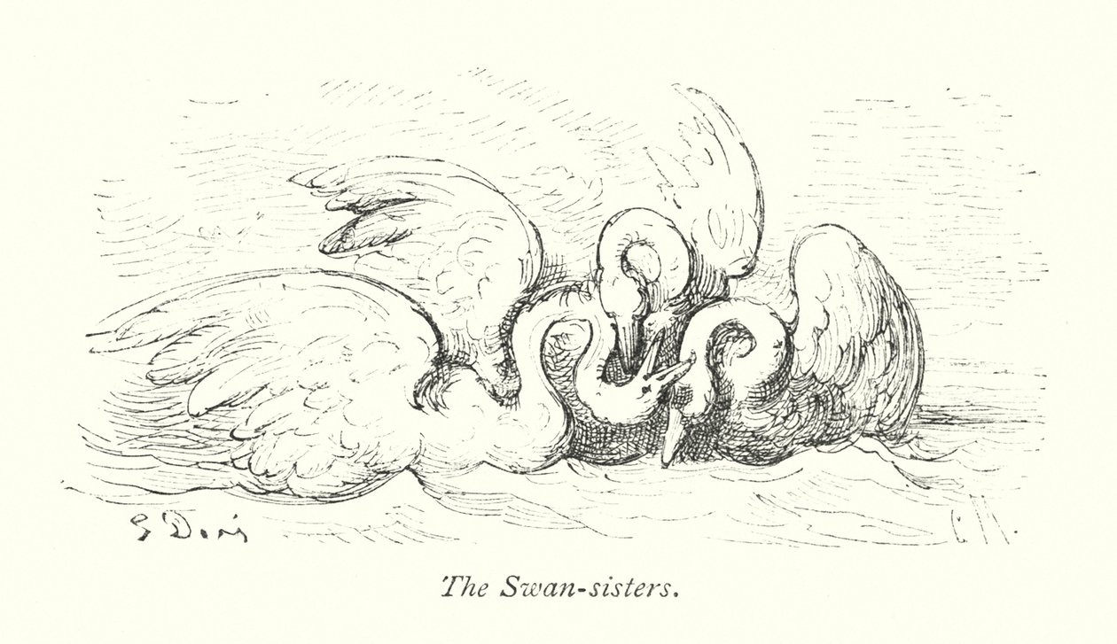 Die Schwanenschwestern (Gravur) von Gustave Dore