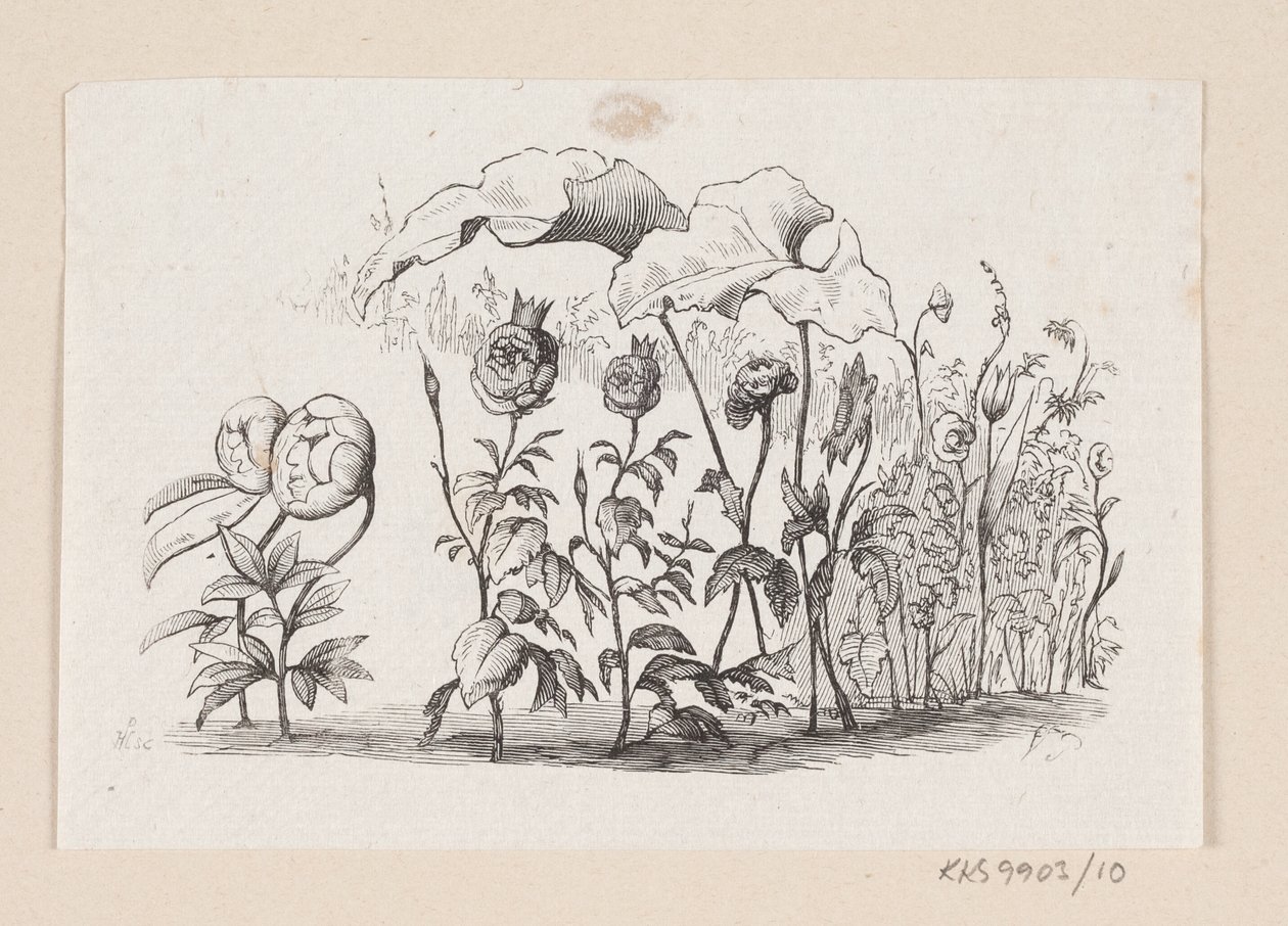 Illustration zu "Den lille Idas Blomster" in H.C. Andersen, "Märchen und Geschichten", Band 1 von H.P. Hansen