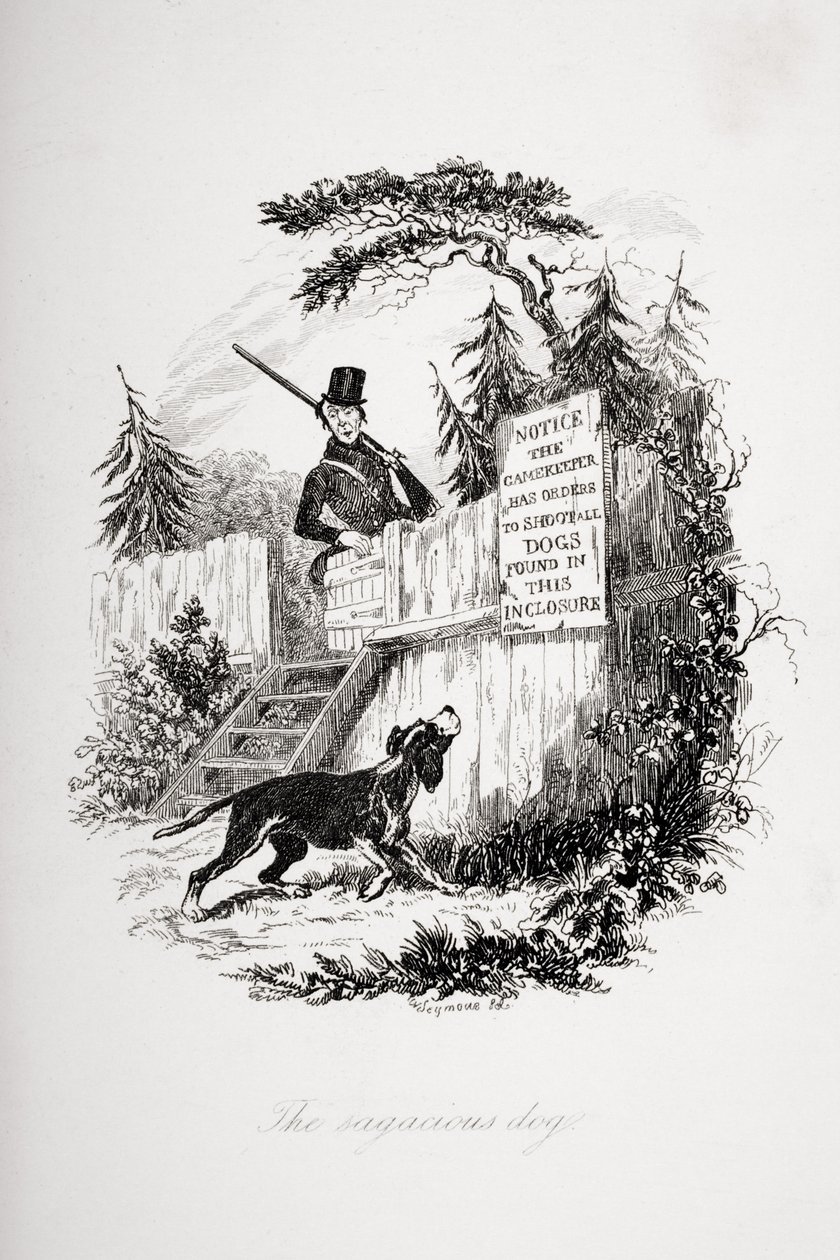 Der kluge Hund, Illustration aus 