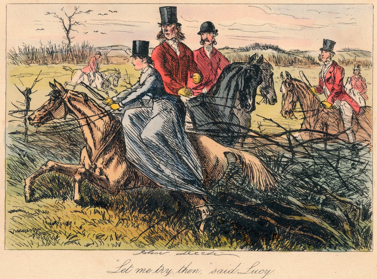 Lass mich sie ausprobieren, sagte Lucy, 1865 von Hablot Knight Browne