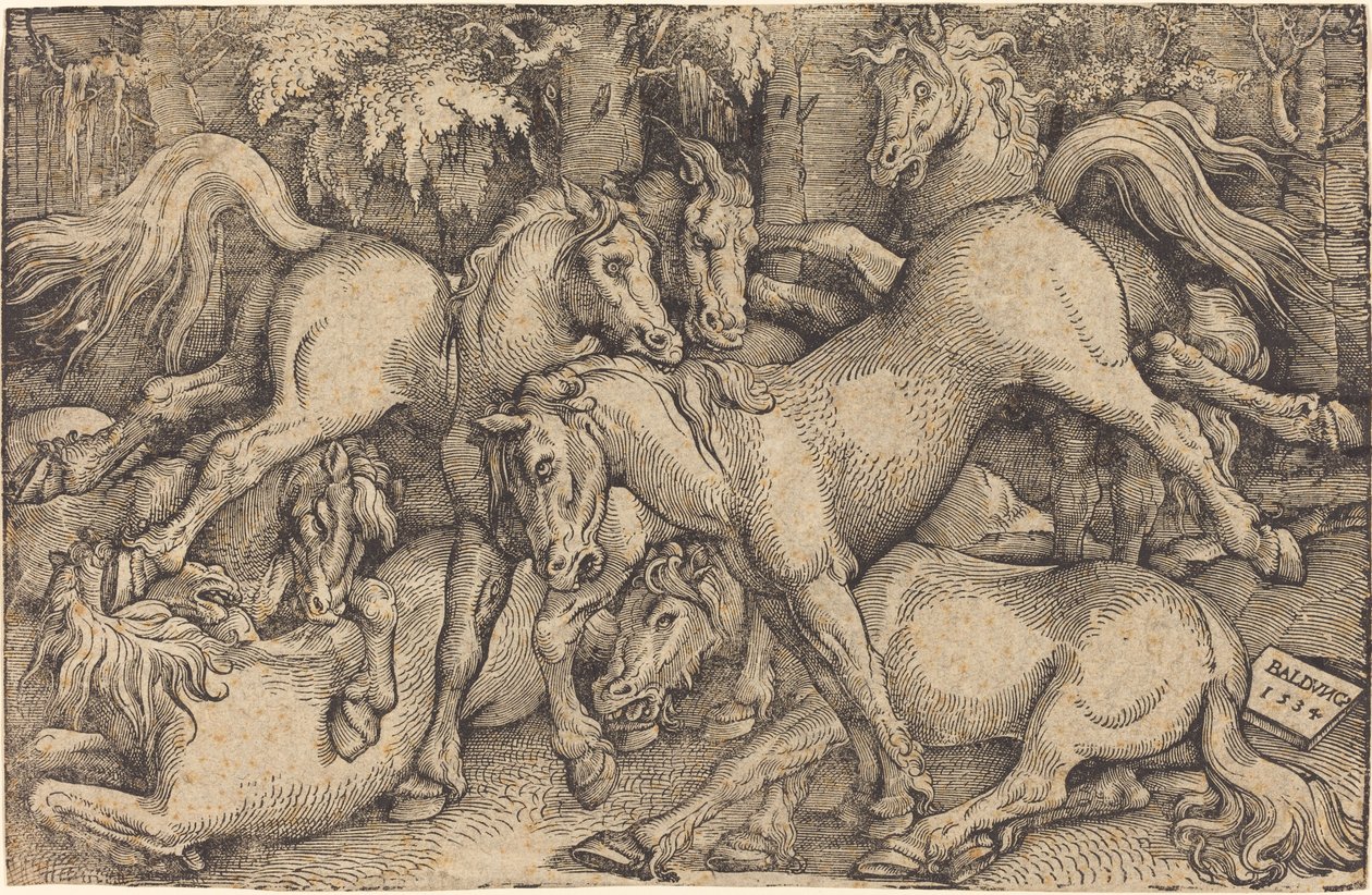 Gruppe von sieben Pferden im Wald von Hans Baldung Grien