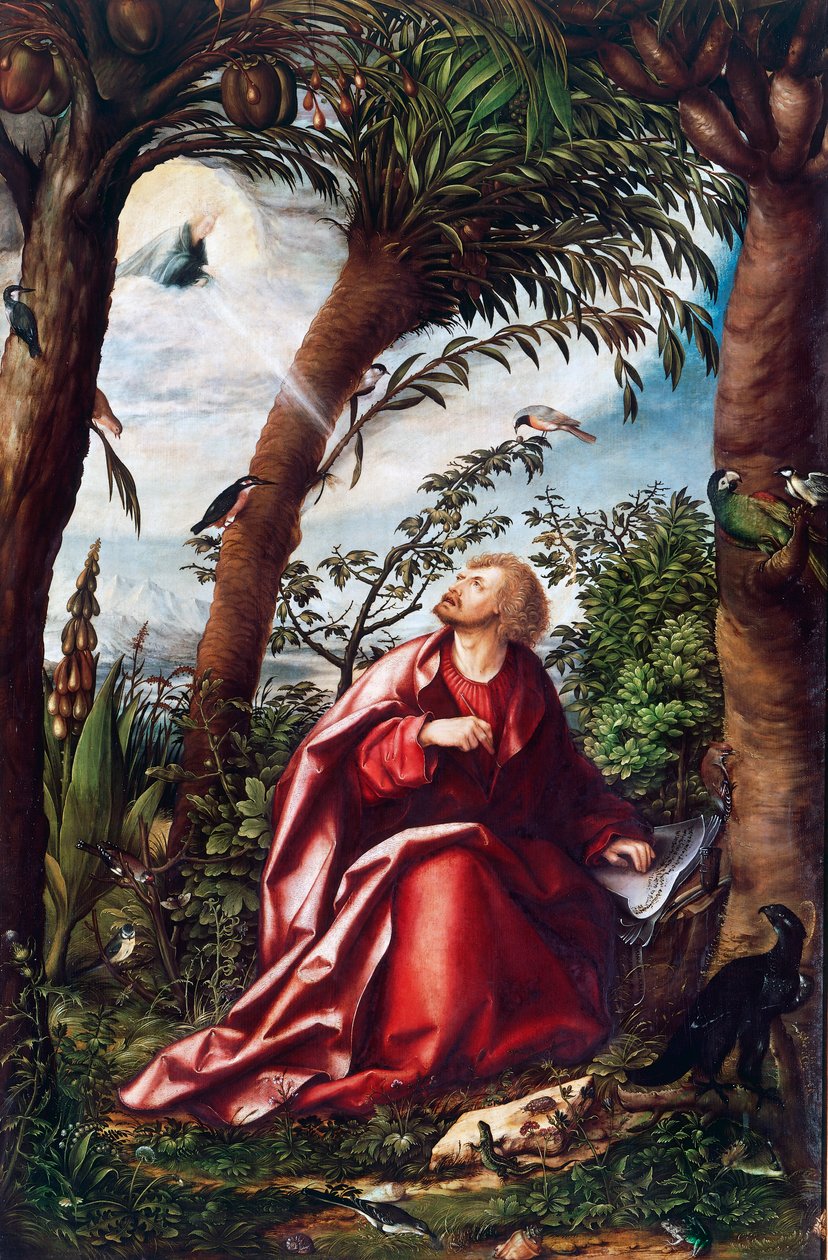 Vision des Heiligen Johannes auf Patmos, Detail vom Altarbild des Heiligen Johannes von Hans Burgkmair