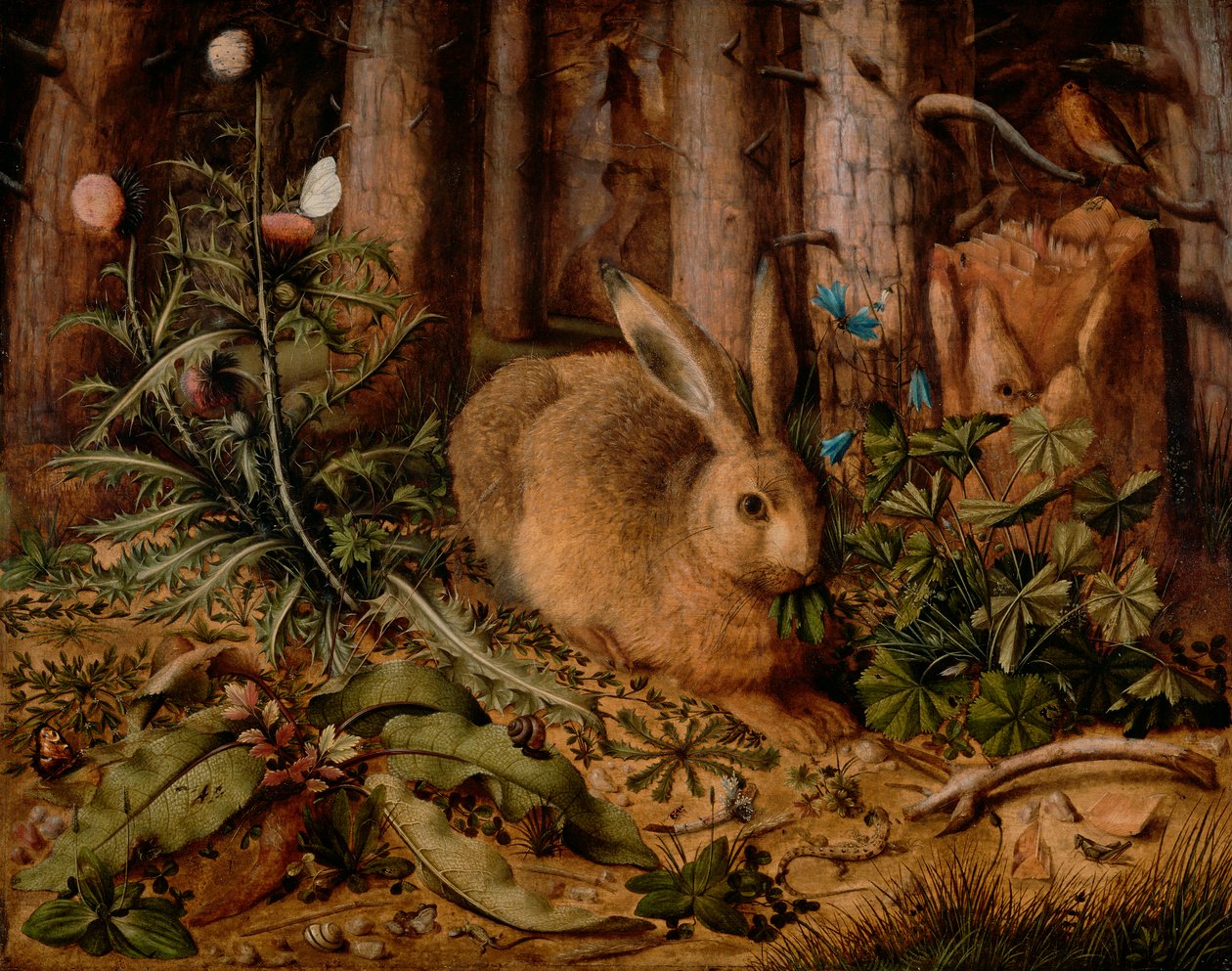 Ein Hase im Wald, ca. 1585 von Hans Hoffmann