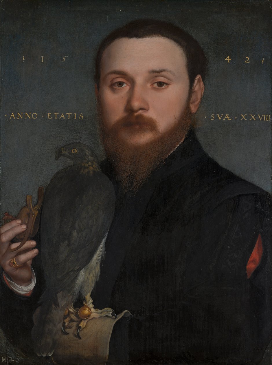 Porträt eines Edelmanns mit einem Falken von Hans Holbein the Younger