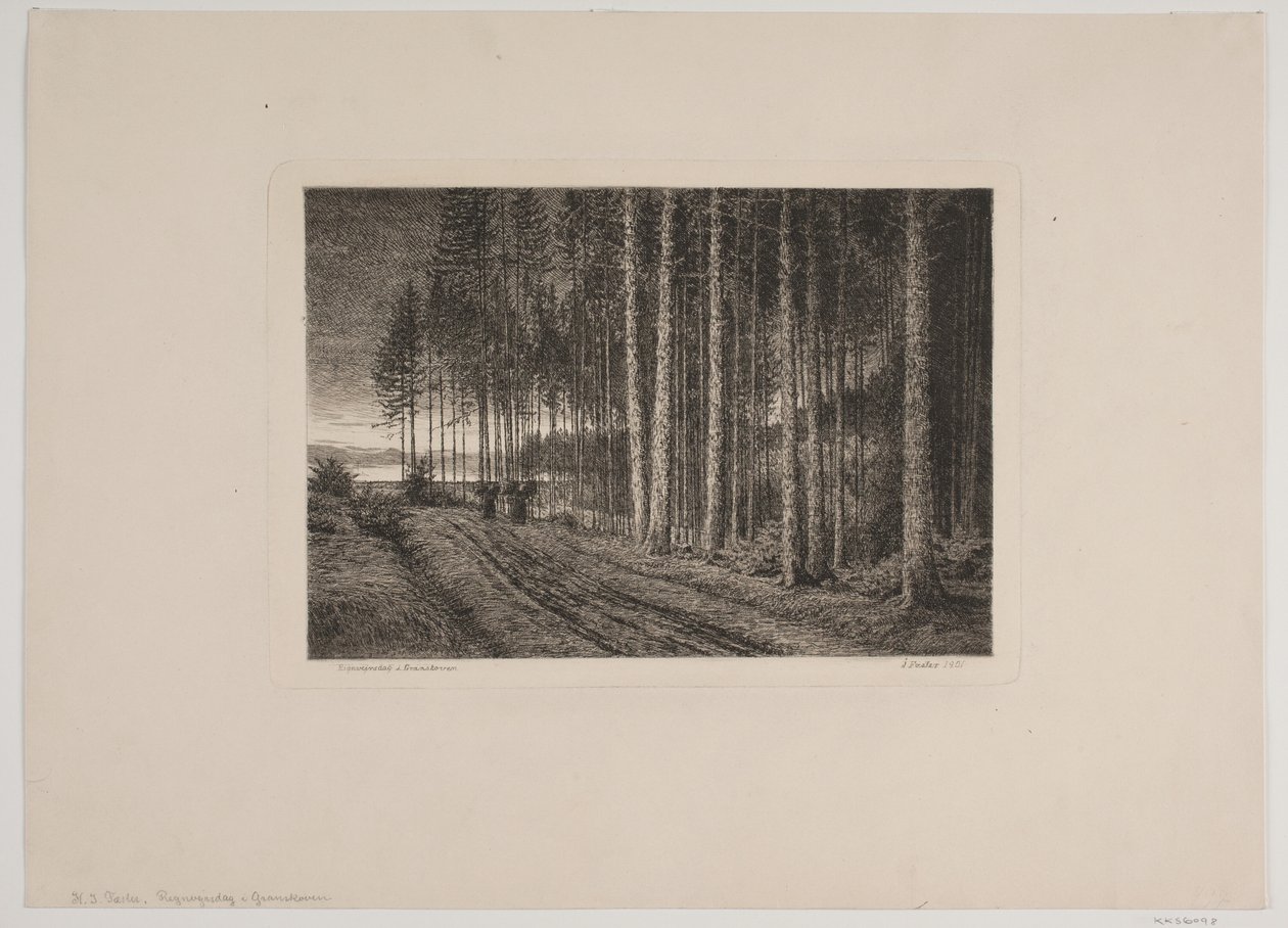 Regentag im Tannenwald von Hans Julius Fæster