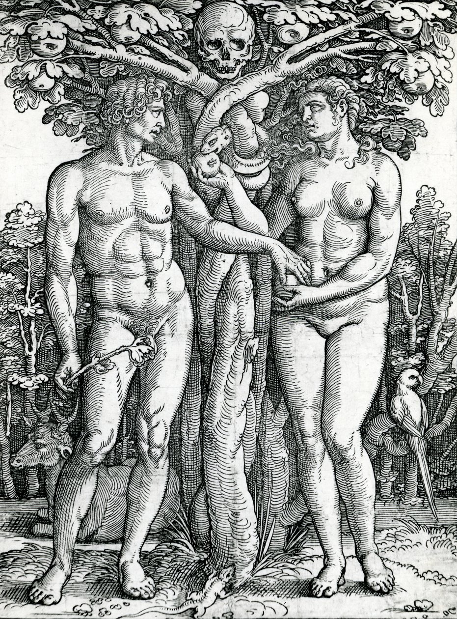 Der Sündenfall von Adam und Eva, c.1525-27 von Hans Sebald Beham