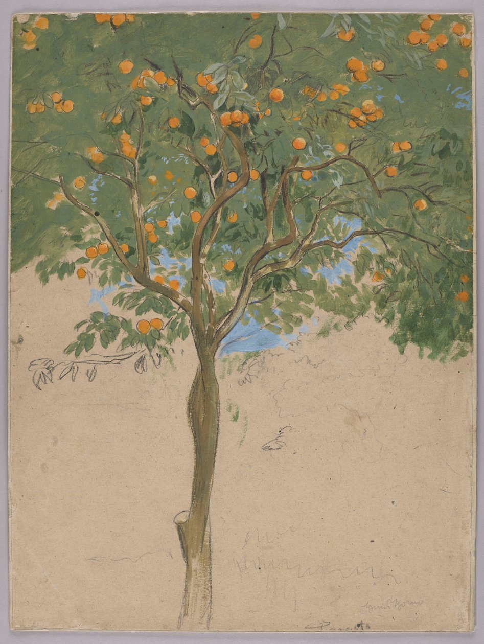 Orangenbaum von Hans Thoma