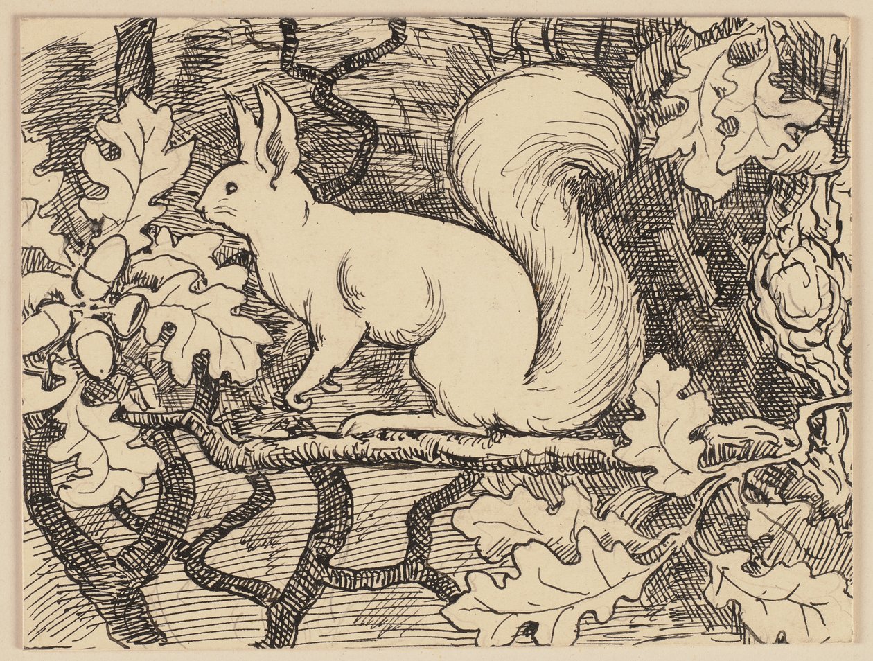 Zeichnung zur Fibel: Eichhörnchen von Hans Thoma