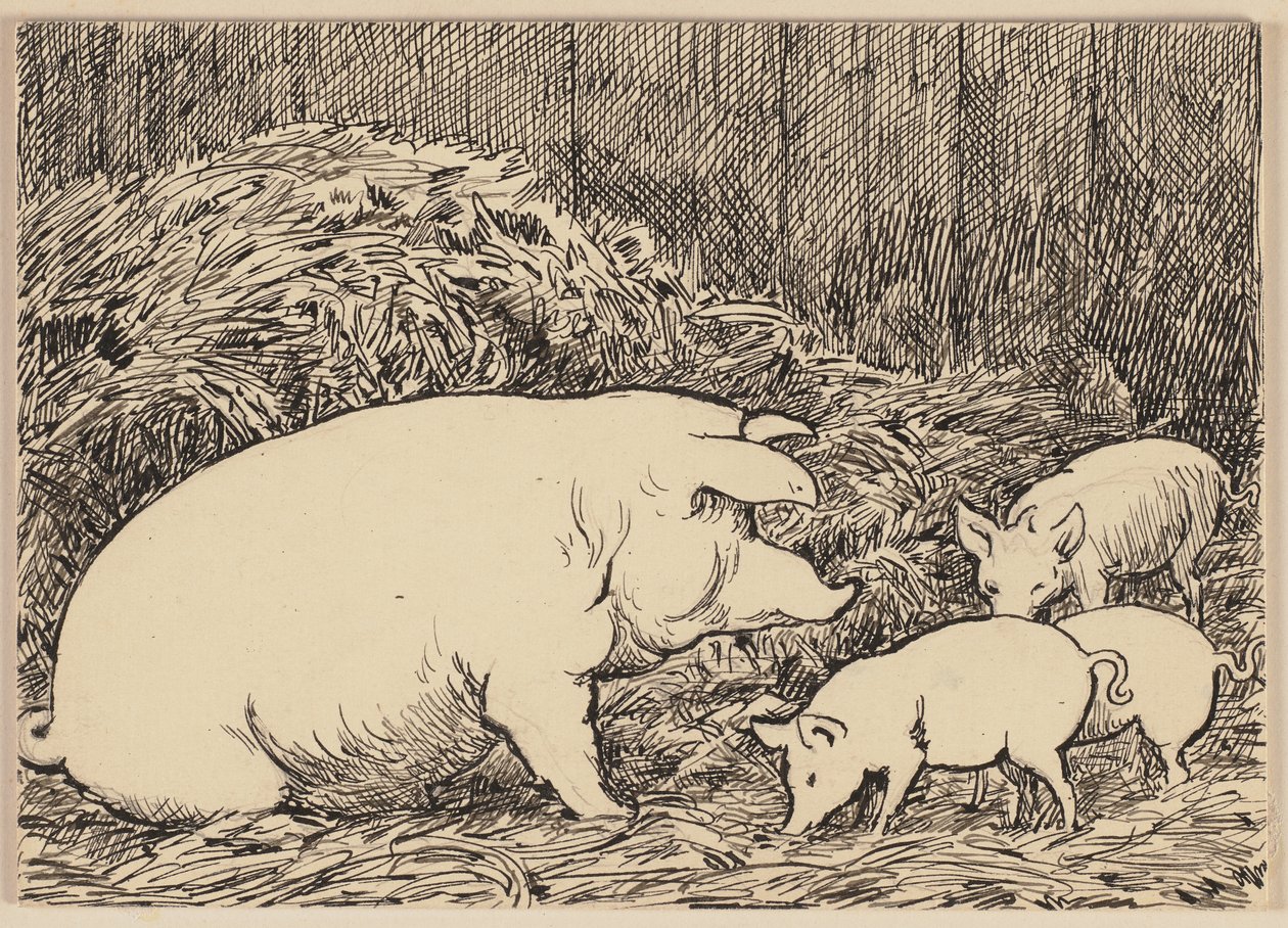Zeichnung zur Fibel: Schwein von Hans Thoma
