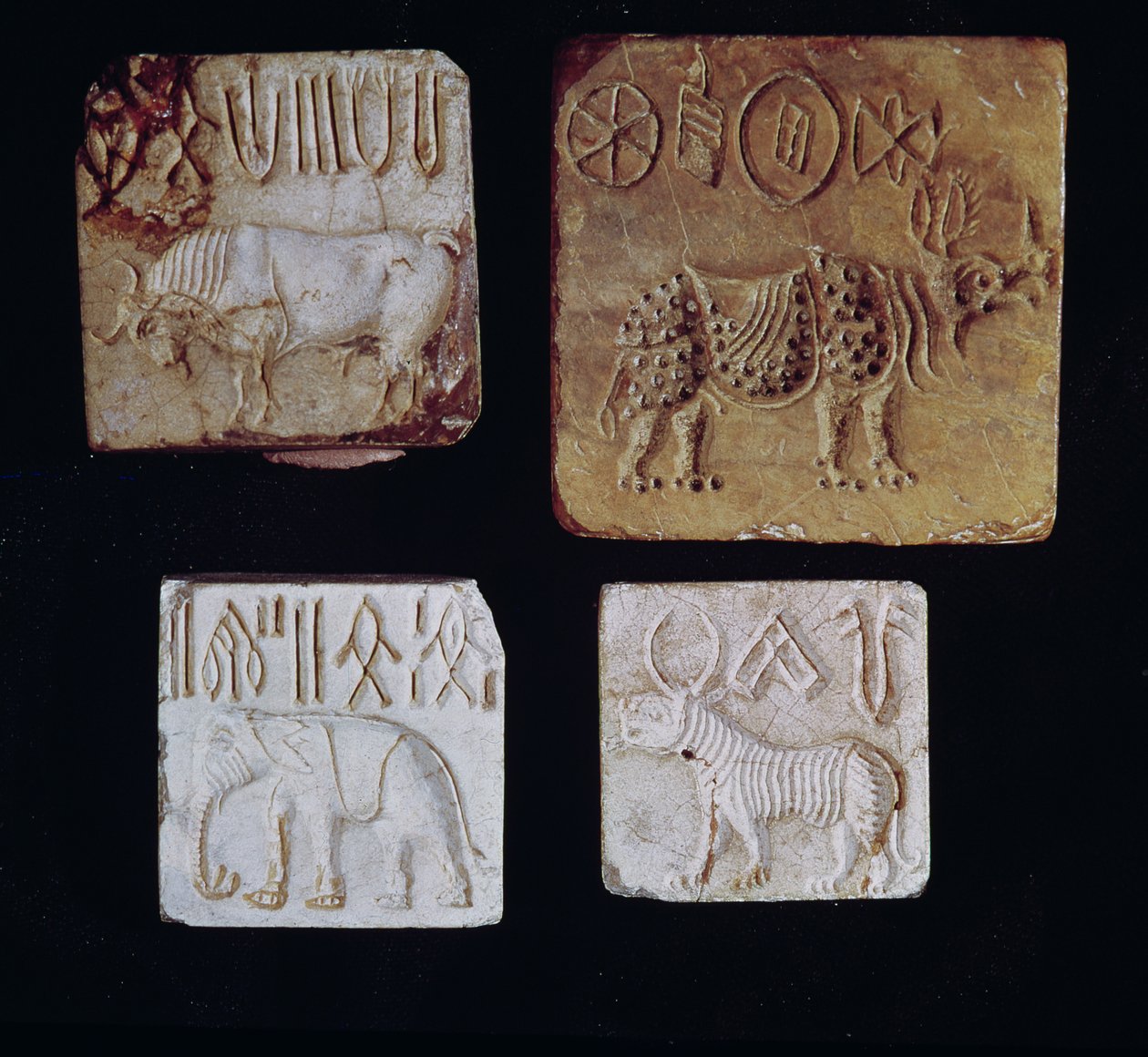 Vier Siegel, die einen Stier, ein Nashorn, einen Elefanten und einen Tiger mit piktografischen Symbolen darstellen, aus dem Industal, Pakistan, 3000-1500 v. Chr. von Harappan