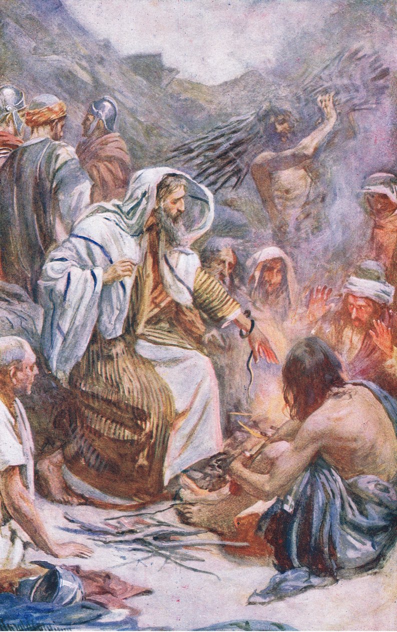 St. Paulus auf Melita, Illustration aus Harold Copping Bilder: Die Kronen-Serie, ca. 1920er von Harold Copping