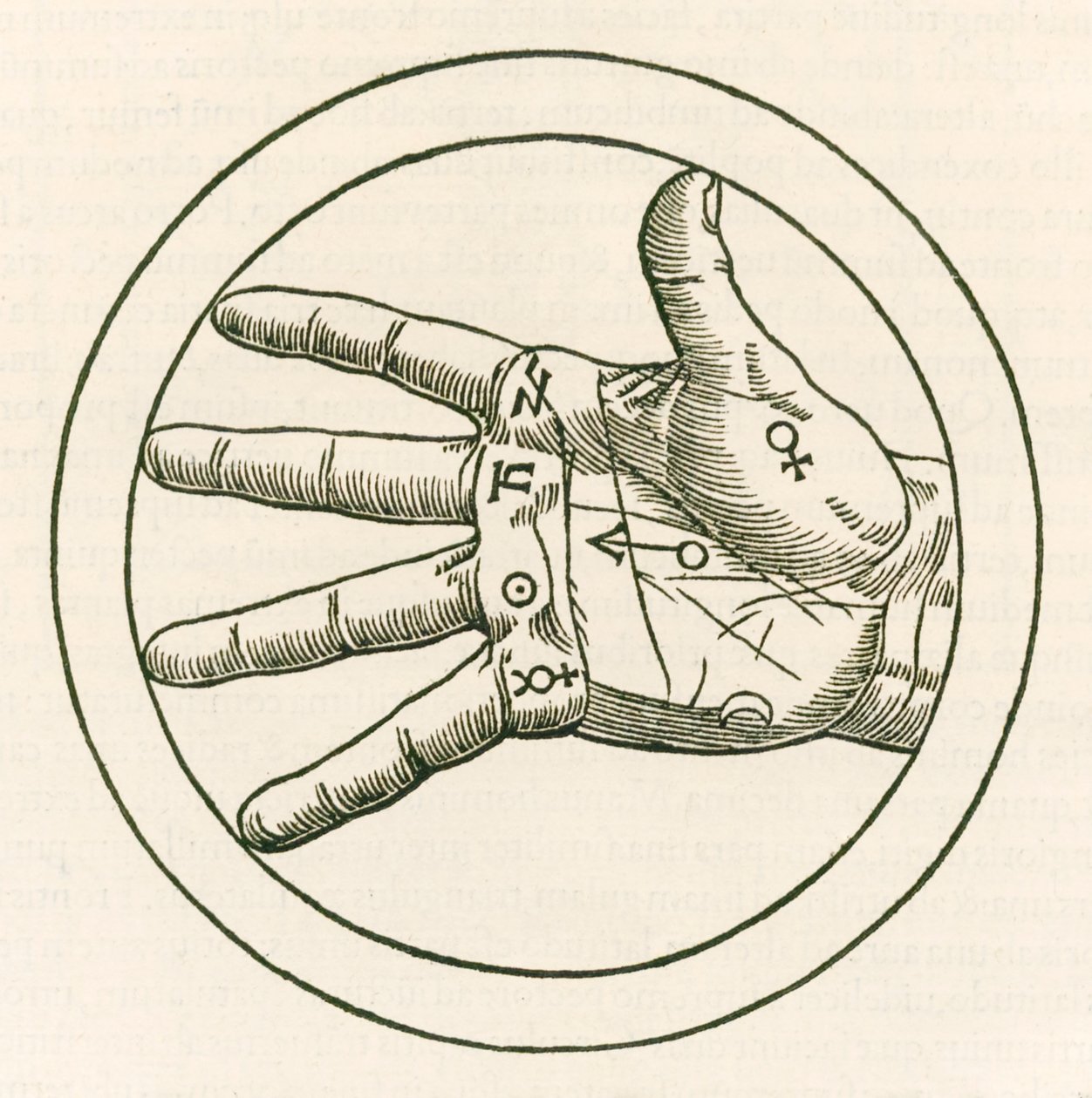 Die Hand der Chiromantie, Gravur aus Heinrich Cornelius Agrippa von Nettesheim (1486-1535) De occulta philosophia libri tres, veröffentlicht 1533 von Heinrich Cornelius Agrippa von Nettesheim