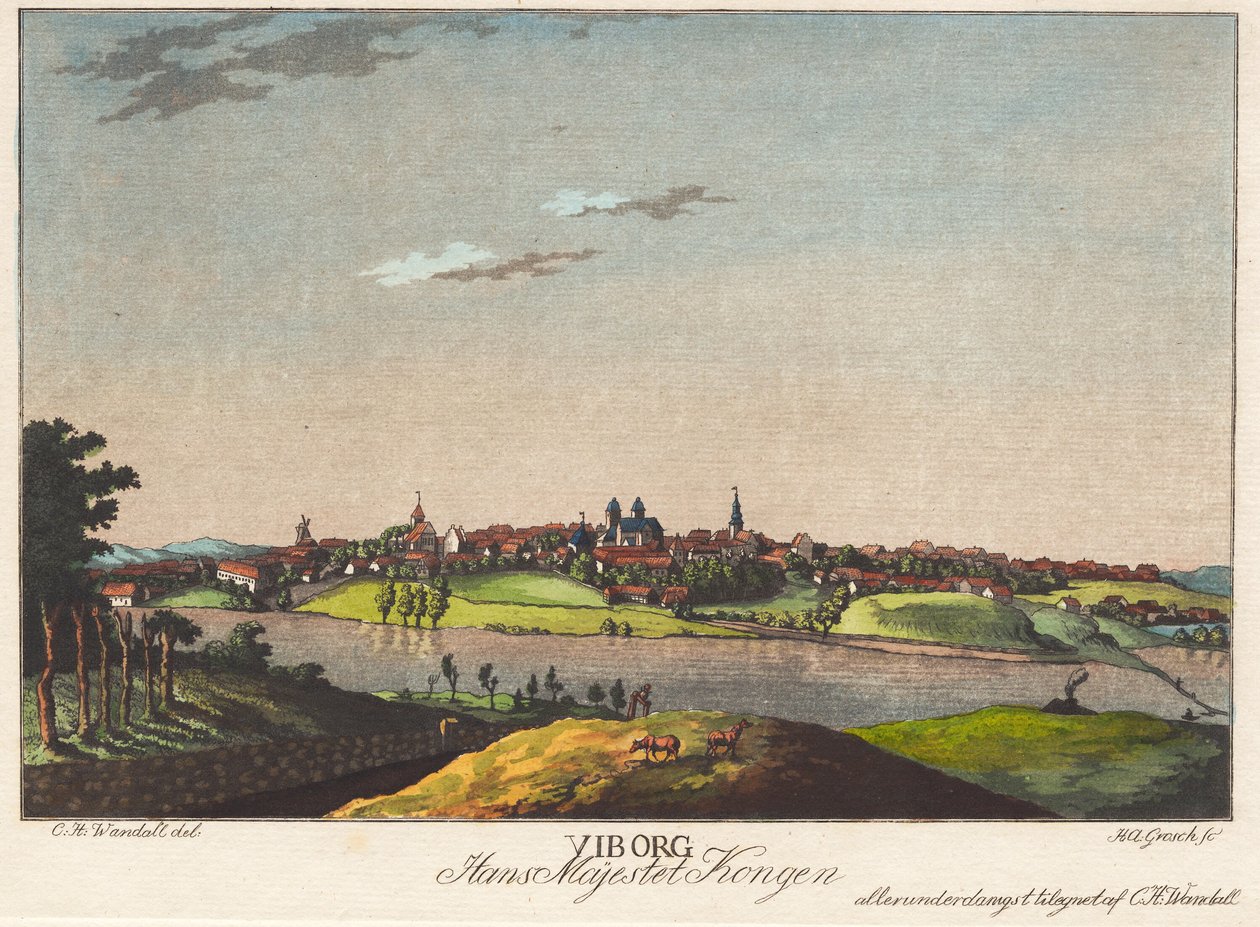 Viborg von Heinrich Grosch