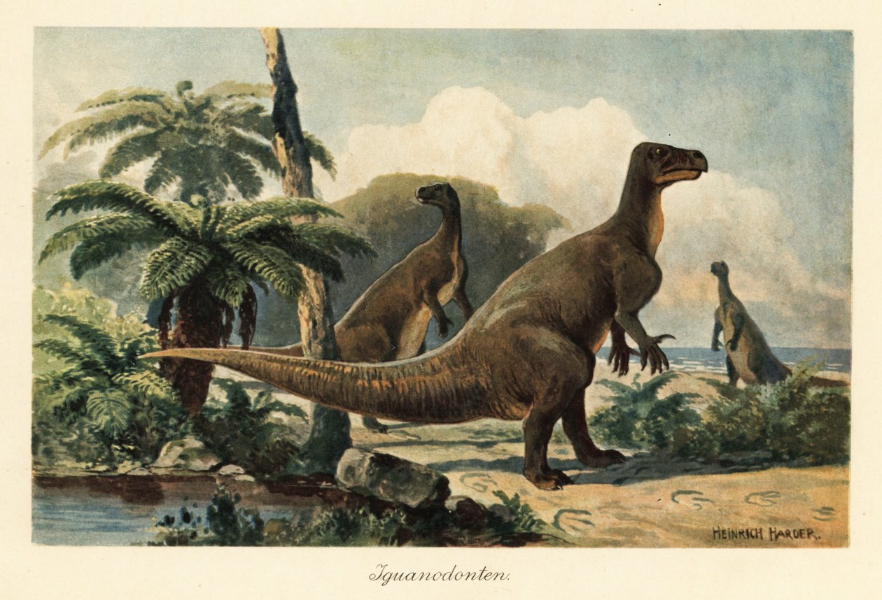 Iguanodon bernissartensis in einem prähistorischen Farnwald von Heinrich Harder