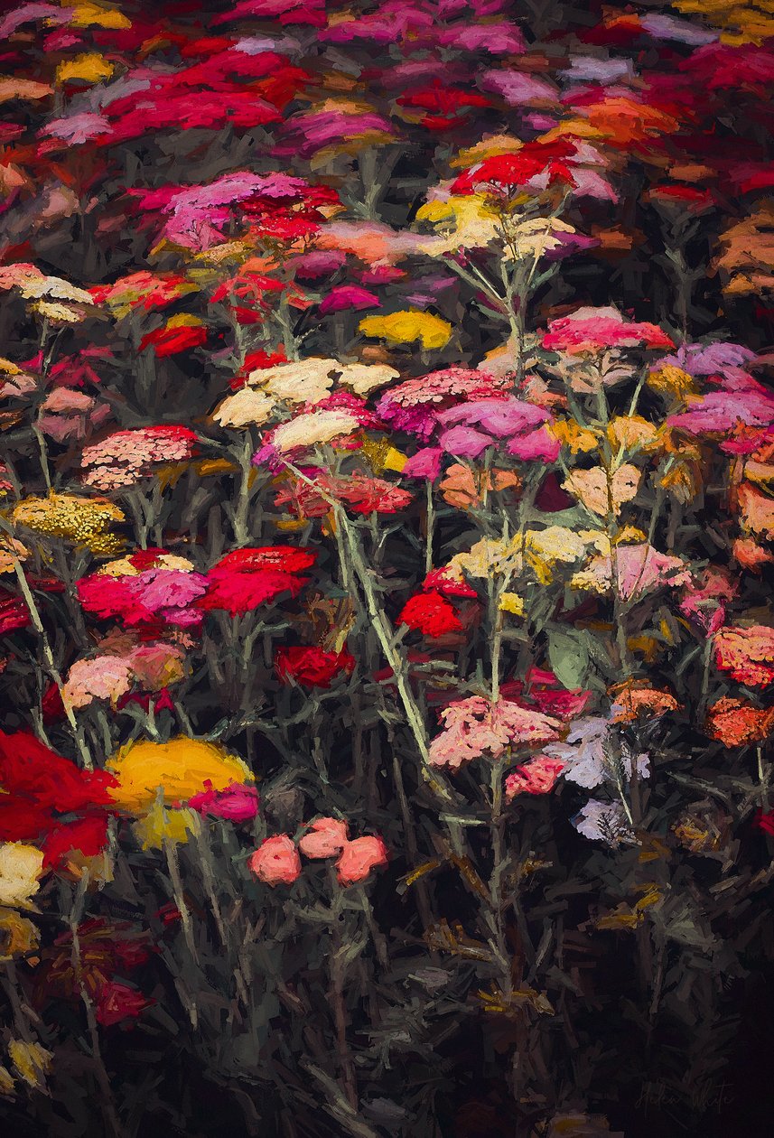 Wild und farbenfroh, 2018 von Helen White