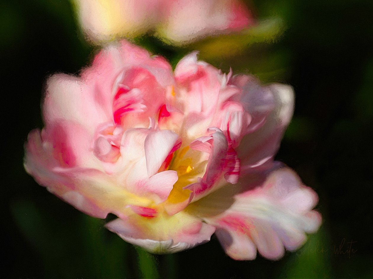 Flammendes Herz, 2019 von Helen White
