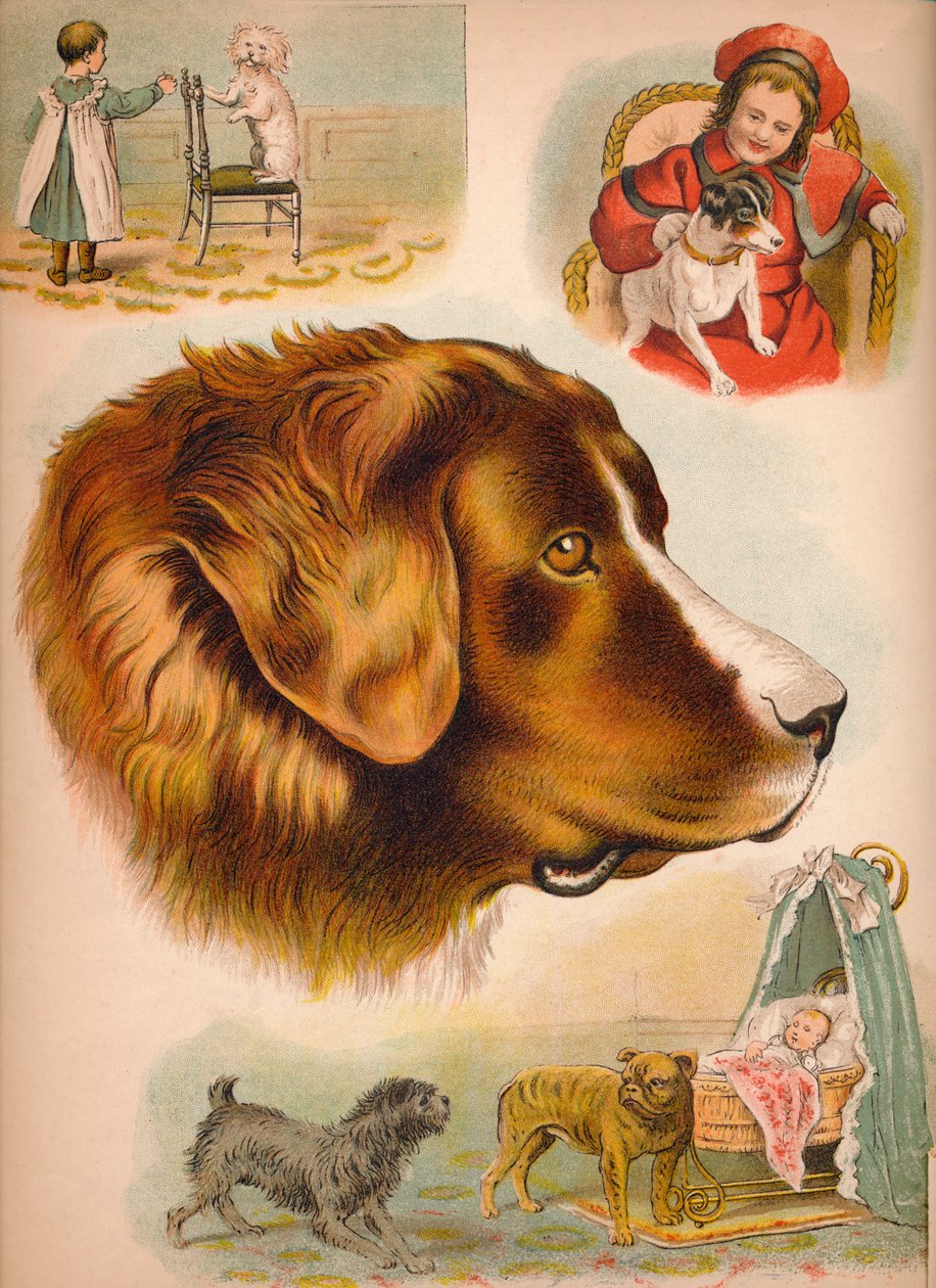 Der Hund von Helena J. Maguire