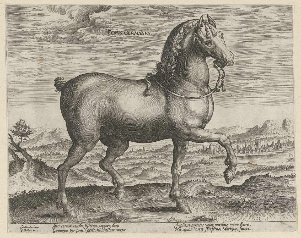 Hengst aus Deutschland von Hendrick Goltzius (possibly)