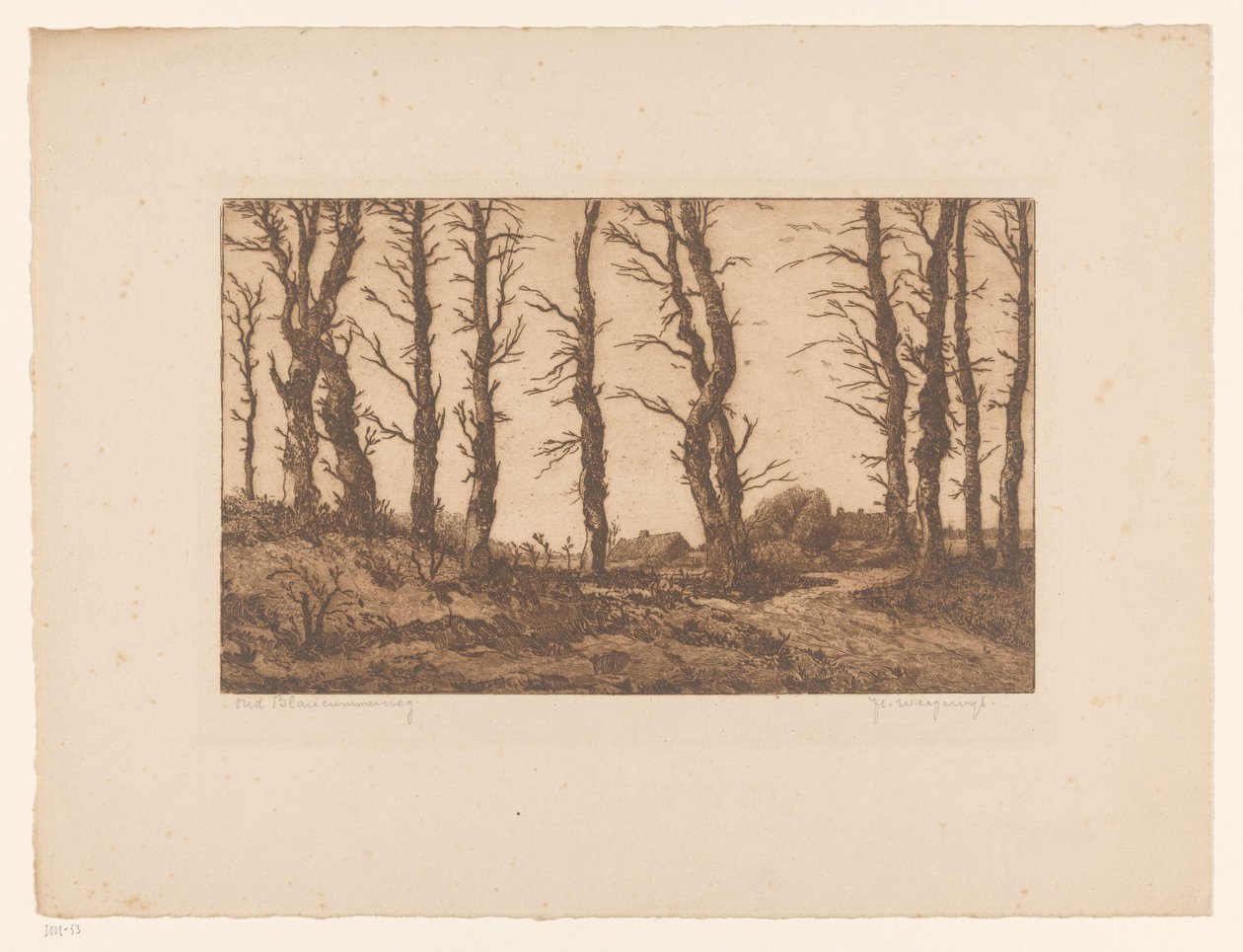 Oud Blaricummerweg von Hendrik Weegewijs (signed by artist)
