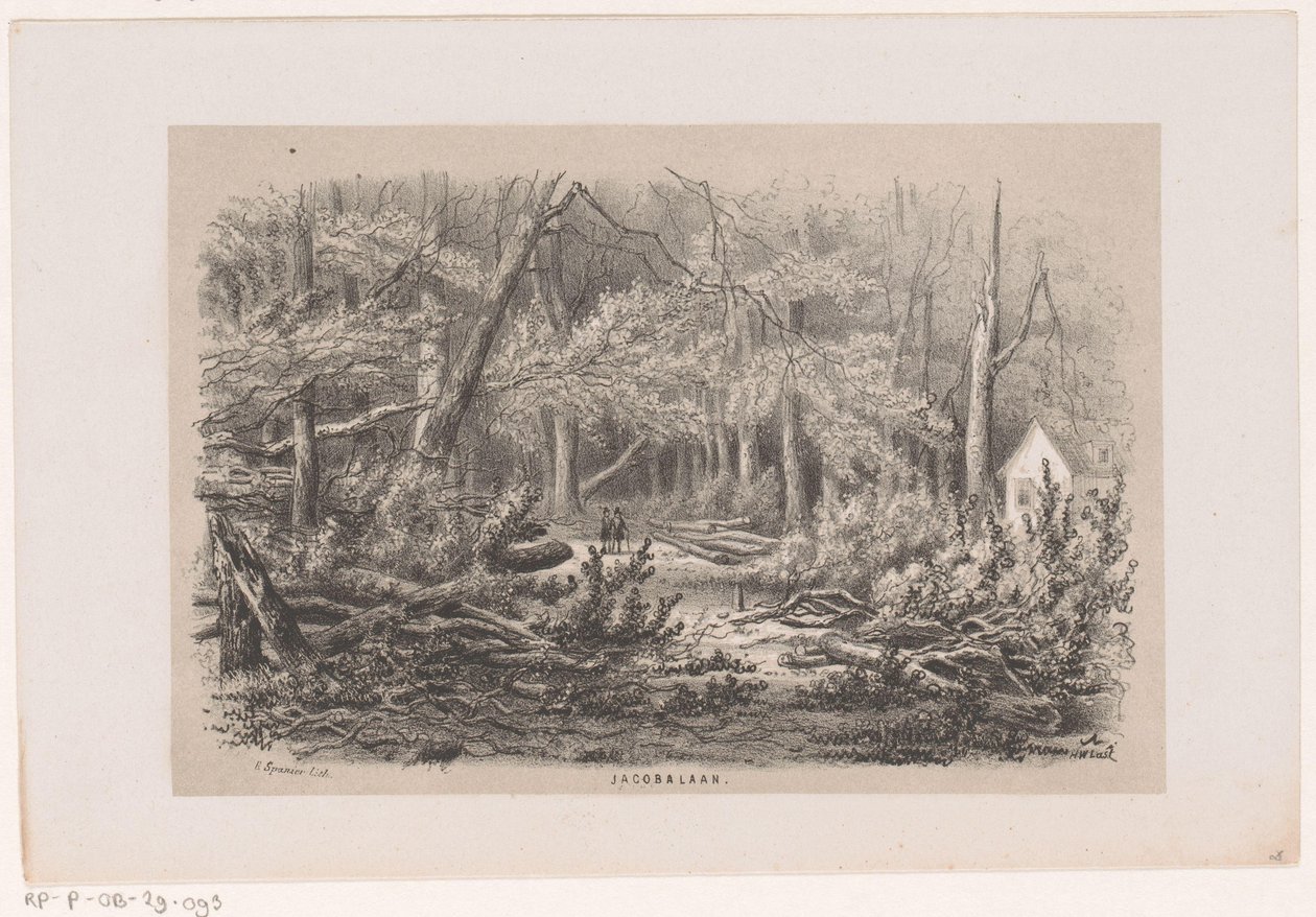 Umgestürzte Bäume an der Jacobalaan nach dem Sturm vom 28. Mai 1860 von Hendrik Wilhelmus Last