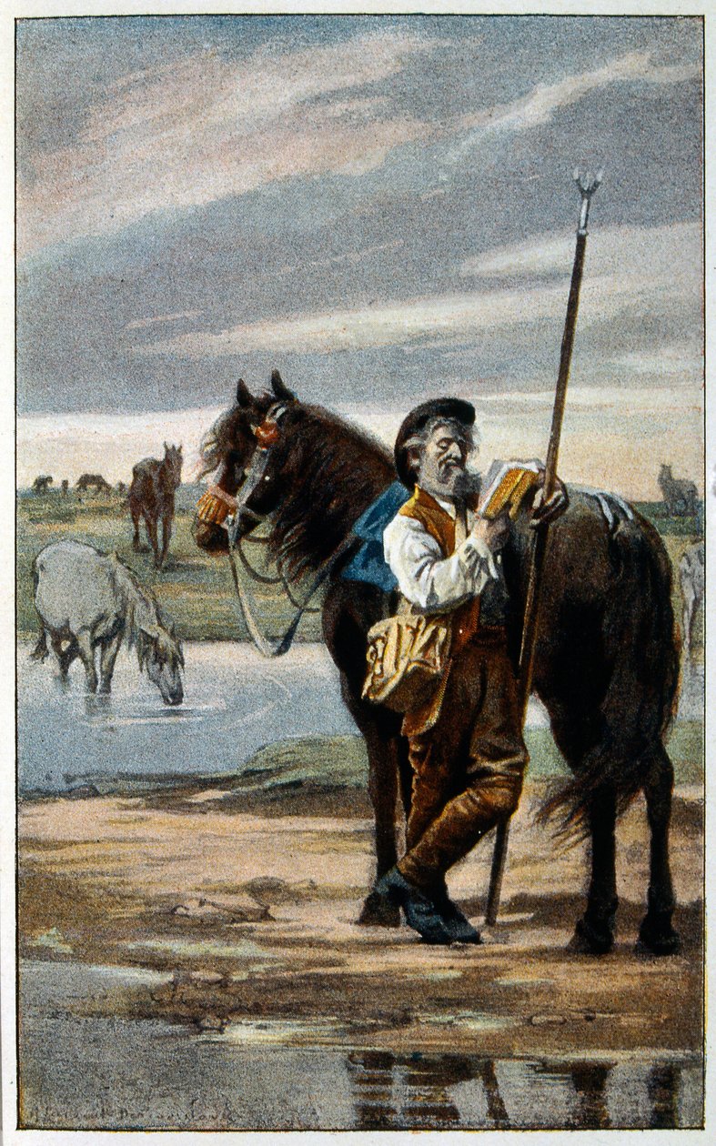 Illustration für 