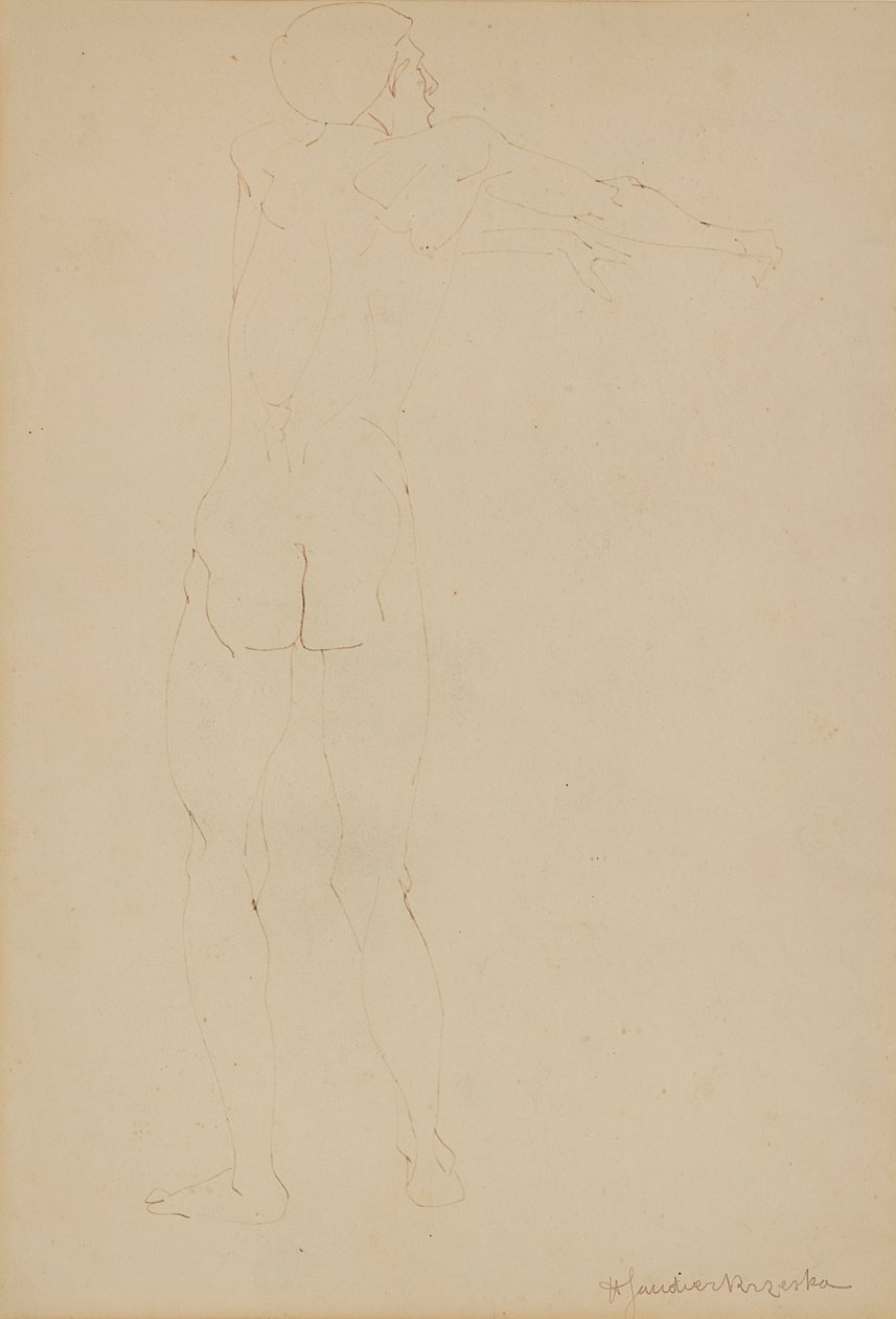 Männlicher Akt von Henri Gaudier Brzeska