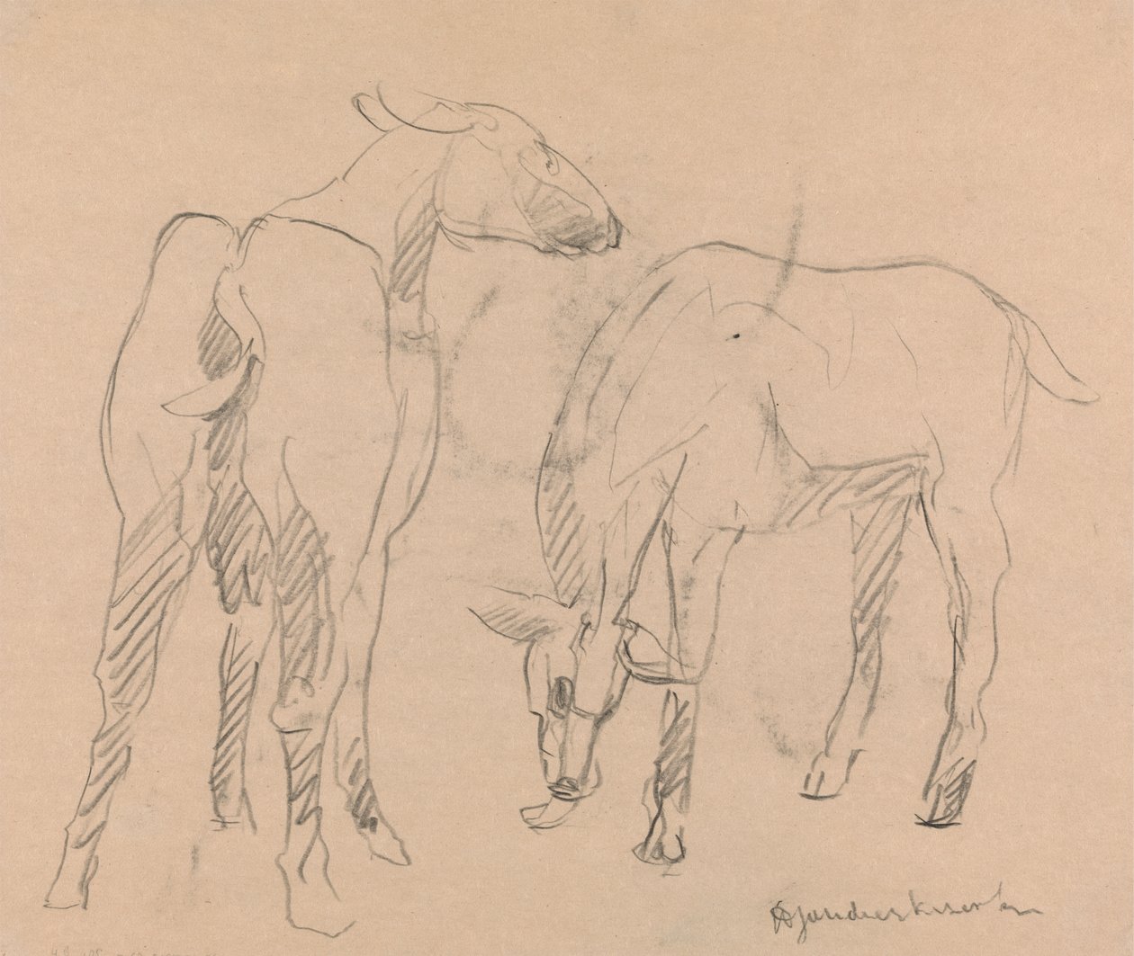 Zwei Ziegen von Henri Gaudier Brzeska
