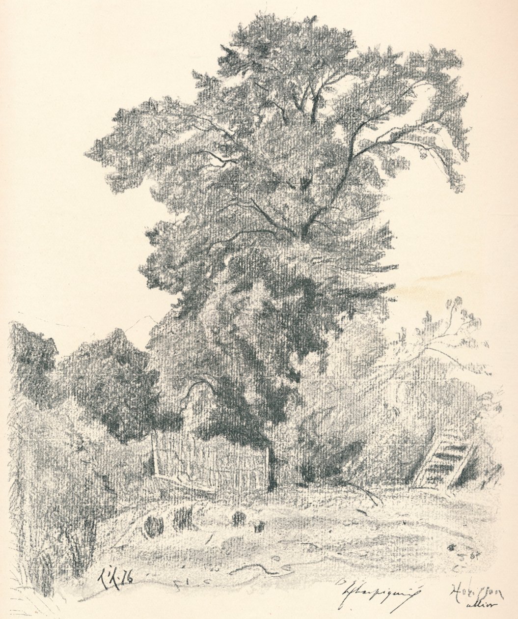 Studie von Bäumen, ca. 1839-1898, 1898 von Henri Joseph Harpignies