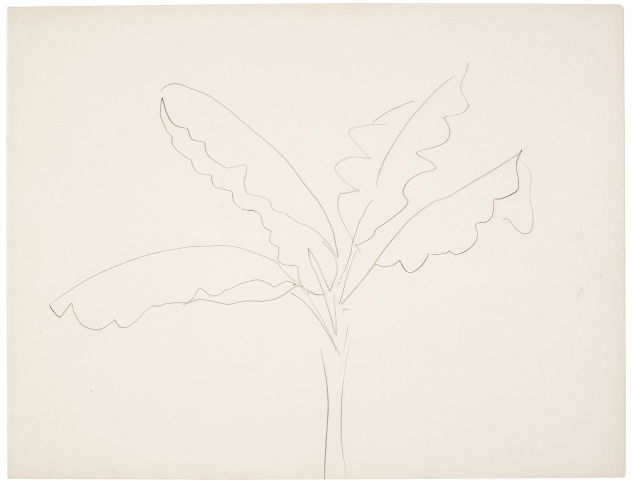 Bananenbaum (Tahiti) von Henri Matisse