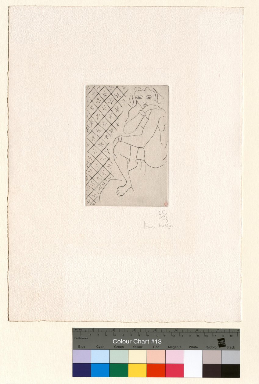 Sitzender Akt, Hintergrund mit sternförmigen Kacheln von Henri Matisse
