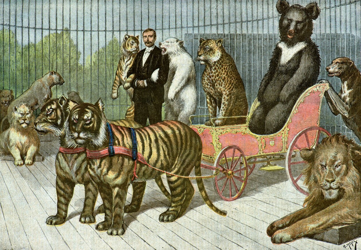 Der Käfig der wilden Tiere im Jardin d