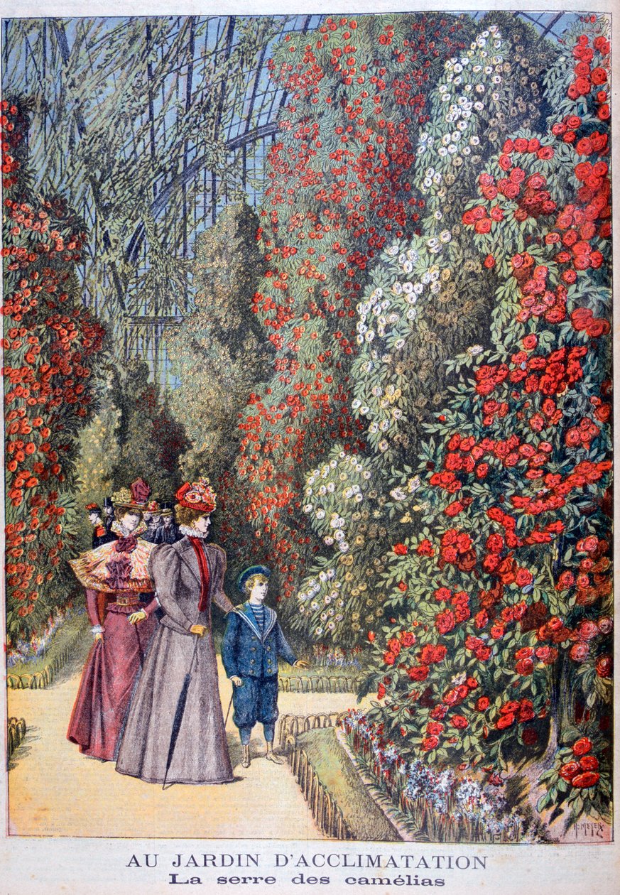 Das Gewächshaus der Kamelien, zoologische Gärten, Paris von Henri Meyer