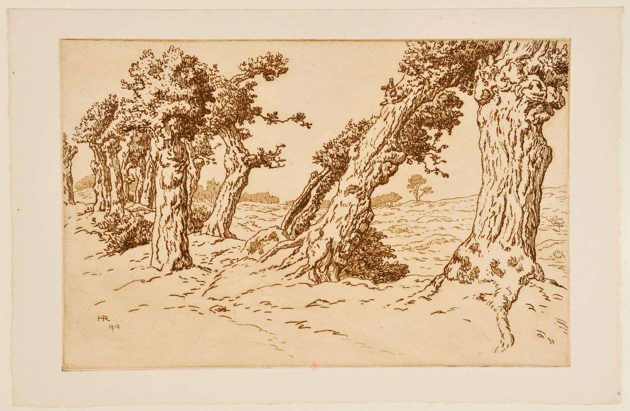 Knotige Baumstämme von Henri Rivière