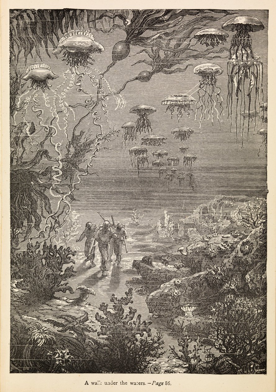 Ein Spaziergang unter den Wassern aus 20.000 Meilen unter dem Meer (Gravur) von Henri Theophile Hildibrand