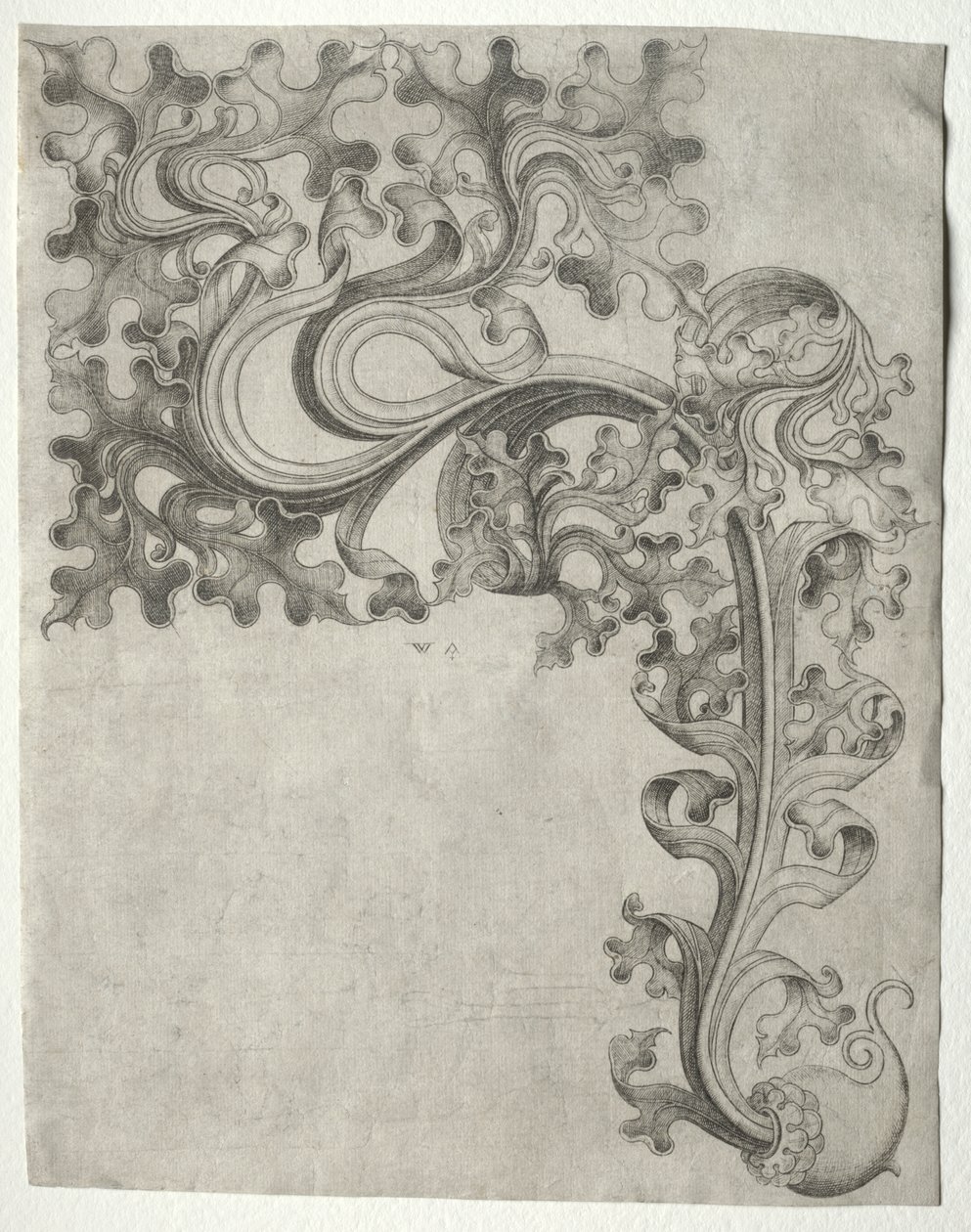 Ein Eichenblatt-Ornament von Henri de Toulouse-Lautrec