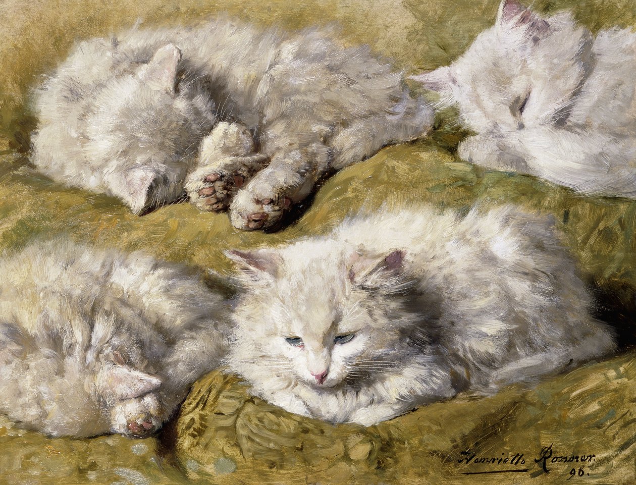 Studien einer langhaarigen weißen Katze, 1896 von Henriëtte Ronner Knip