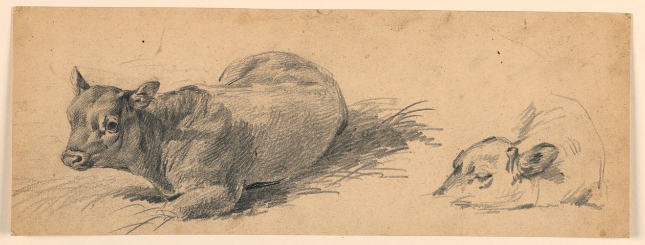 Studie eines jungen Bullen, der auf einer Wiese liegt von Henry Bernard Chalon