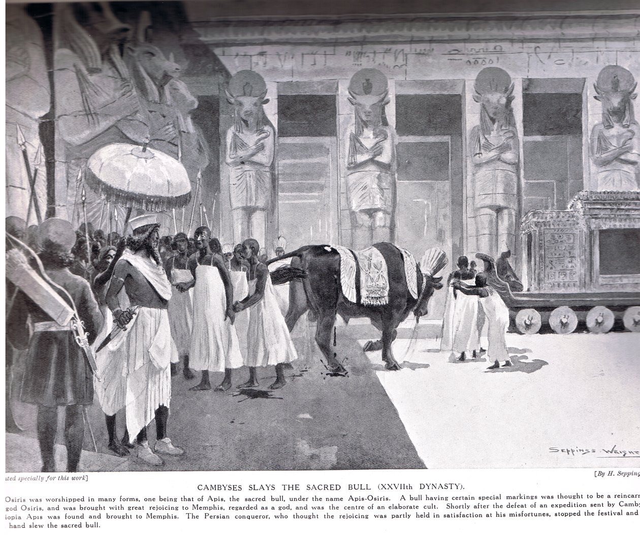 Kambyses tötet den heiligen Stier, Illustration aus 